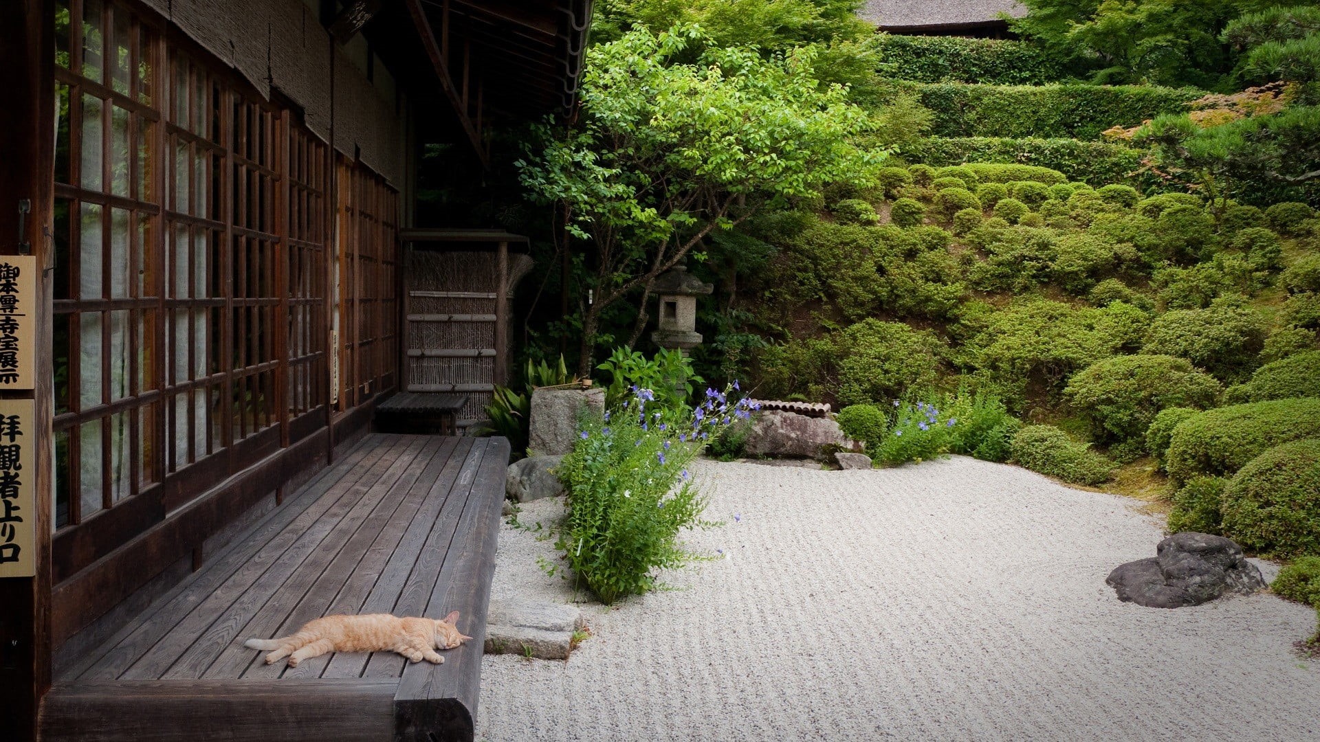 outdoors, house, tree, building exterior, wood - material, growth, built structure, direction, footpath, Japan, table, plant, nature, day, architecture, HD Wallpaper