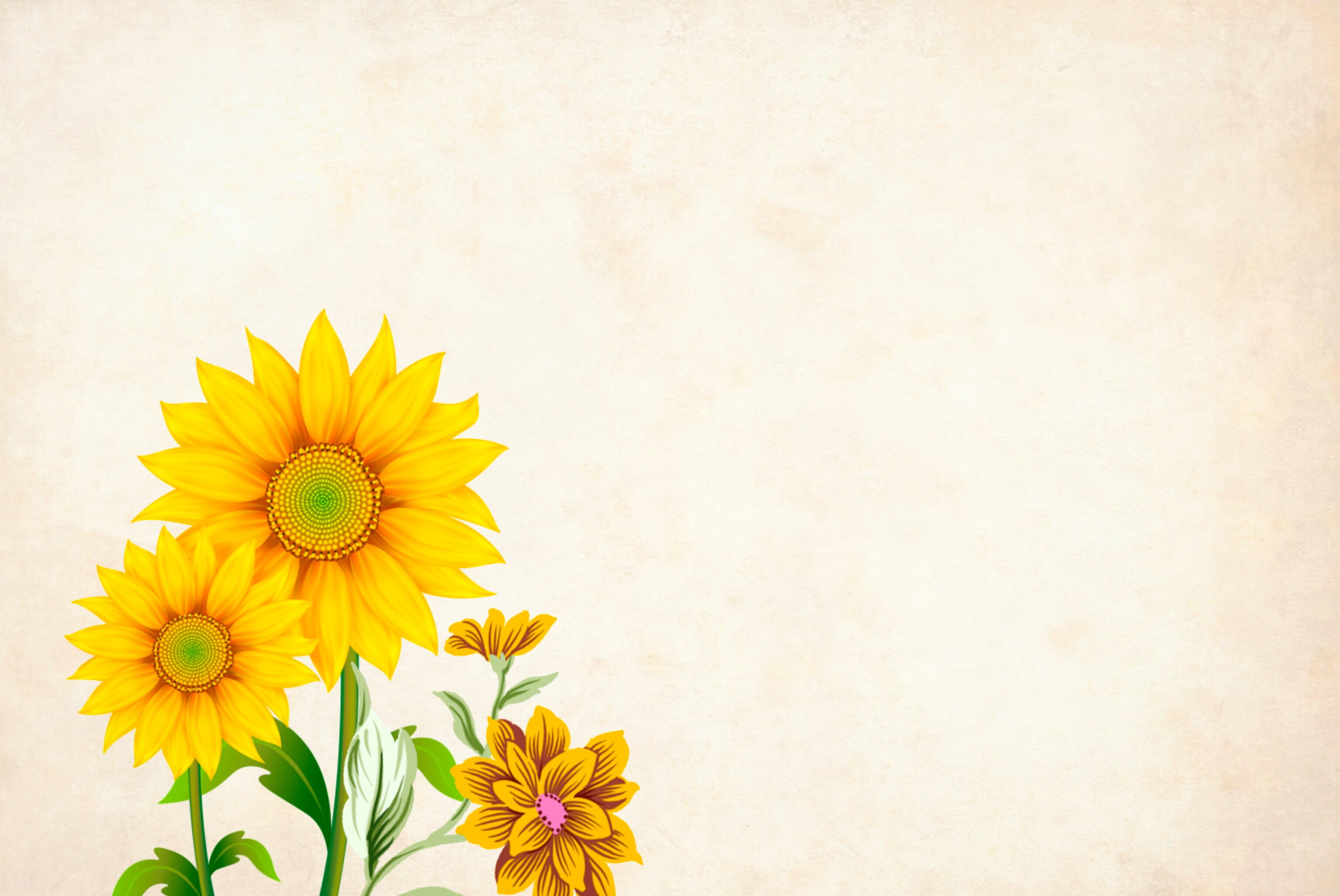 studio shot, fashion, freshness, hand made, garden frame, sketch, invitation, sunflower, pollen, 2K, bouquet, postcard, wedding, growth, painting, retro, HD Wallpaper
