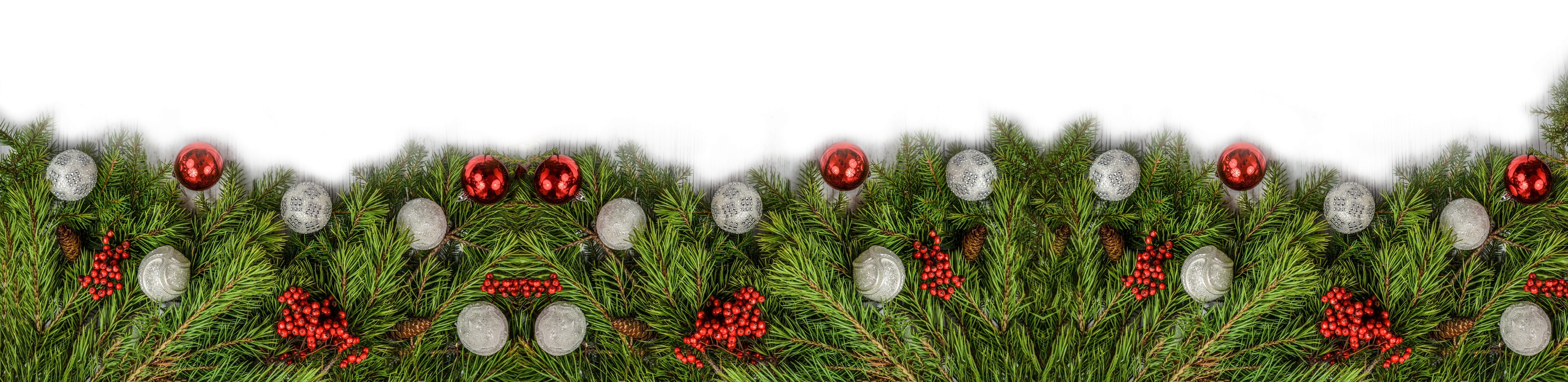 land, day, pine, design, bauble, holiday, 5K, panoramic, winter, no people, flowering plant, rowan, background, tree, happy, greeting, landscape, branch, HD Wallpaper