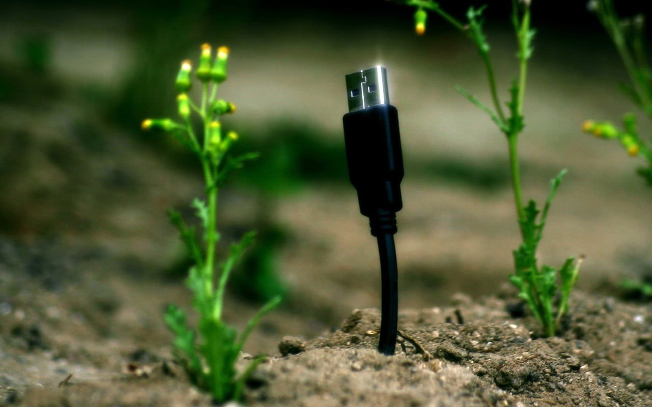 agriculture, beauty in nature, no people, USB, solid, dirt, macro, moss, rock - object, selective focus, day, black, environment, focus on foreground, extreme close-up, HD Wallpaper
