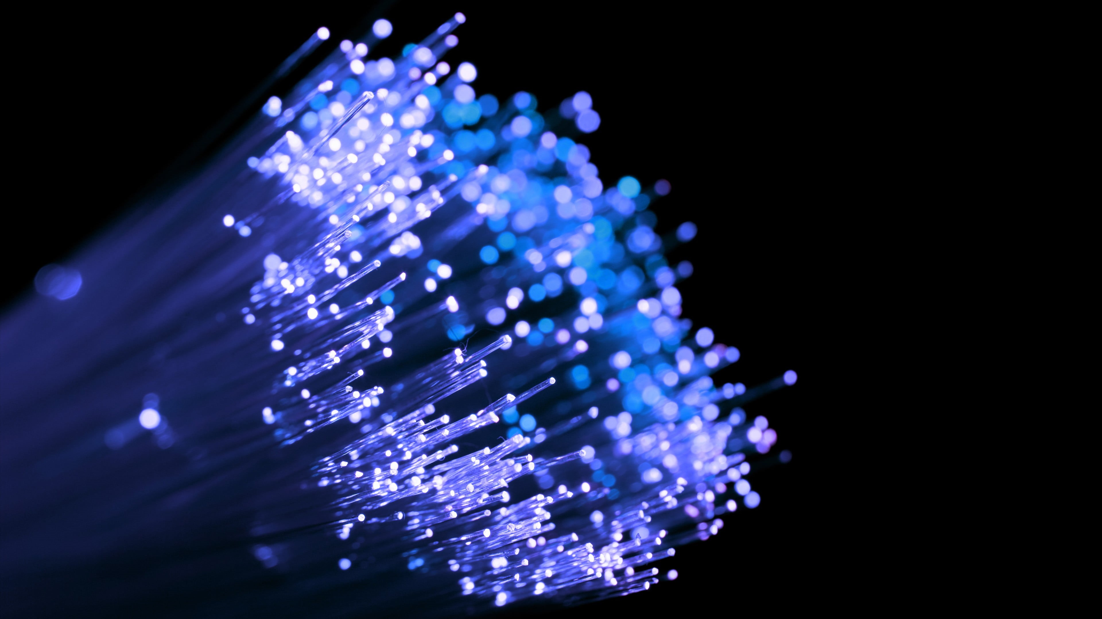 connection, blue, shiny, purple, wires, bright, illuminated, white, equipment, telecommunications equipment, black background, multi Colored, black Color, HD Wallpaper
