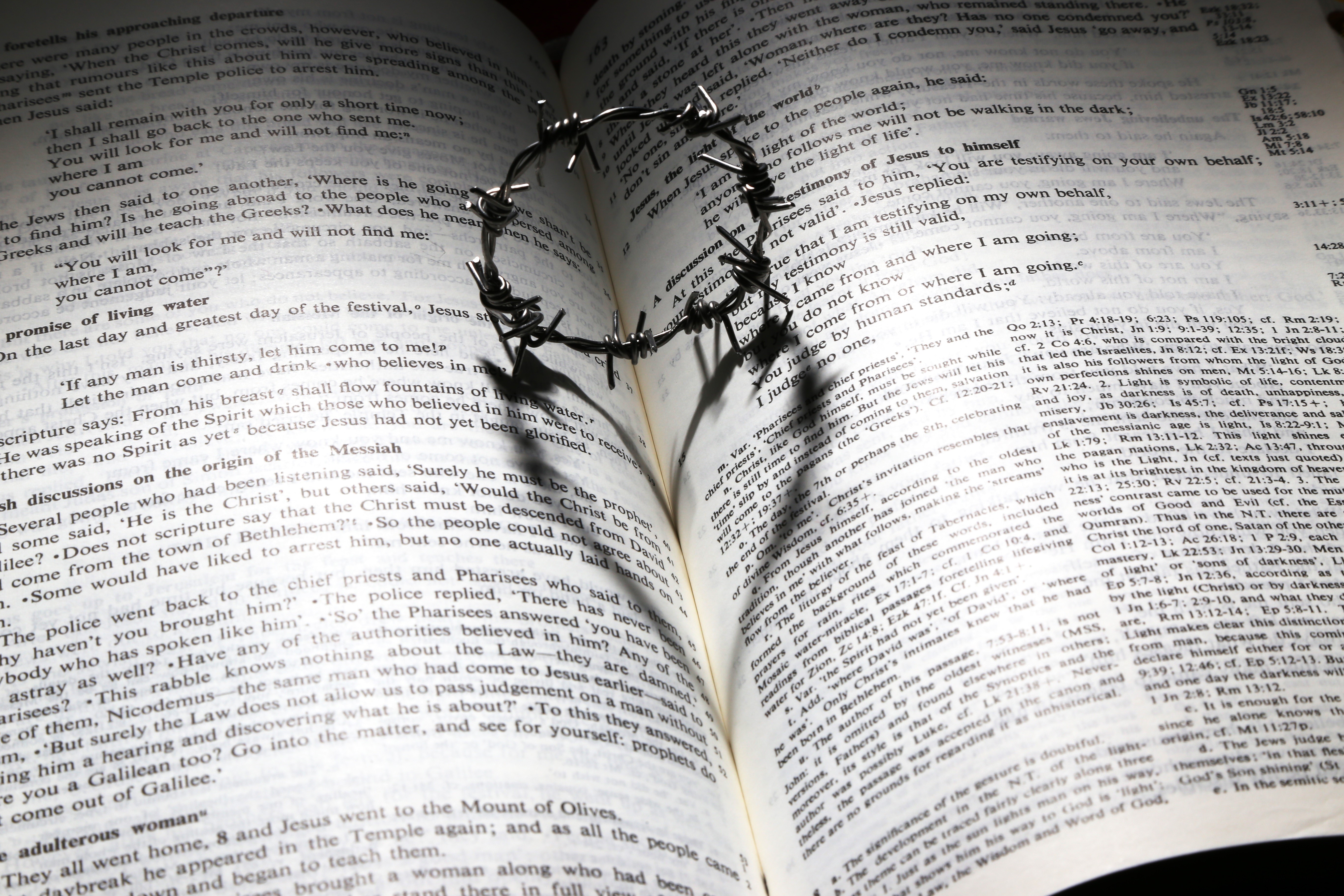 sad, jesus, cross, text, open, plant part, faith, dead, paper, plant, thorns, die, died, book, loss, sorrow, close-up, light, god, nature, pray, high angle view, HD Wallpaper