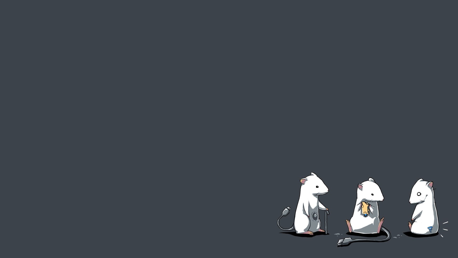 humor, celebration, representation, digital, women, love, still life, female likeness, white, human representation, cut out, side by side, studio shot, HD Wallpaper