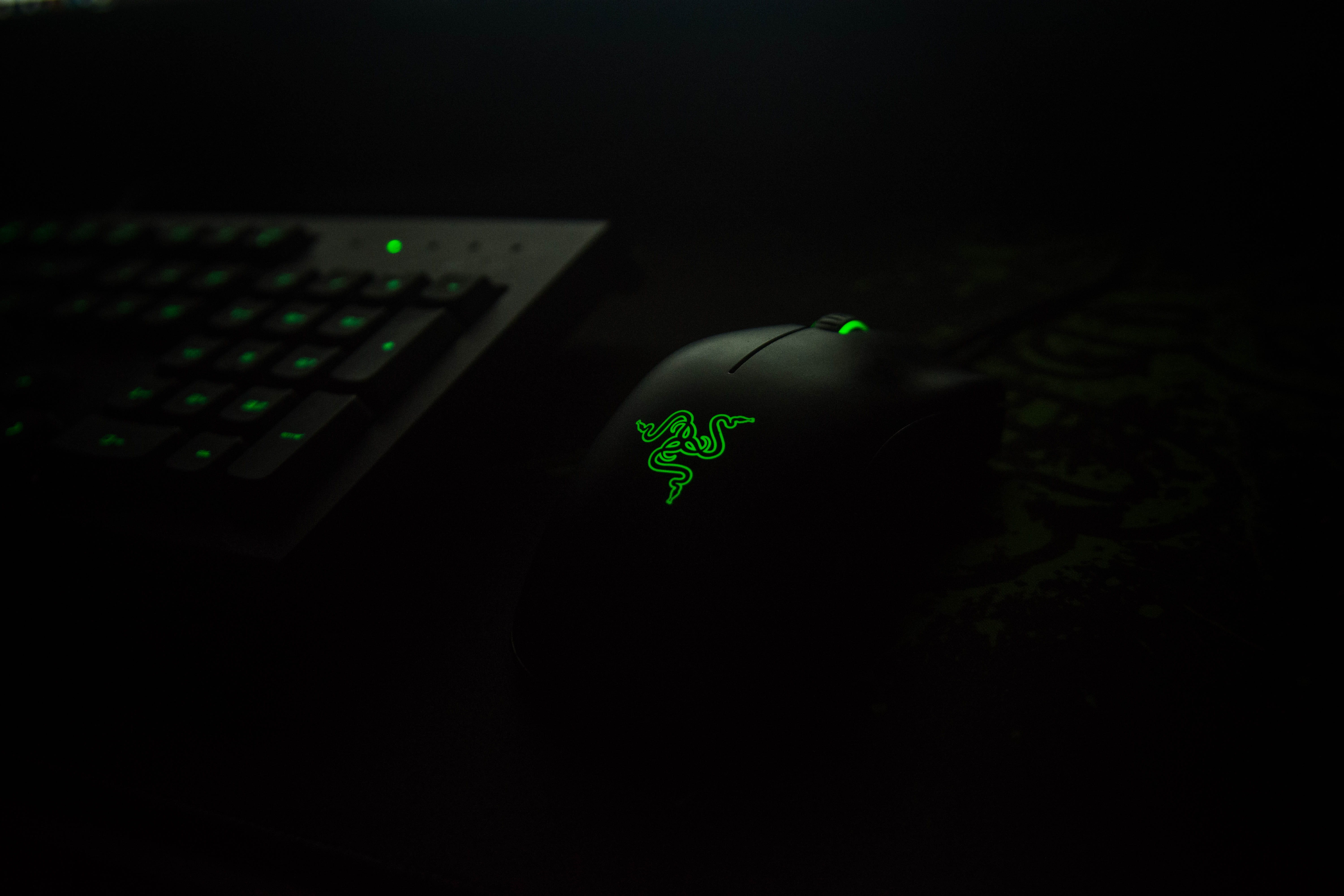 connection, plant part, computer keyboard, computer, 5K, green color, communication, copy space, razer, studio shot, close-up, no people, keypad, gaming, HD Wallpaper