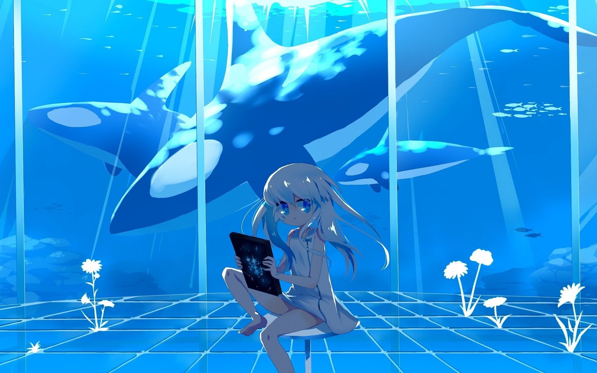 orca, anime, anime girls, dress, original characters, 1080P, HD Wallpaper