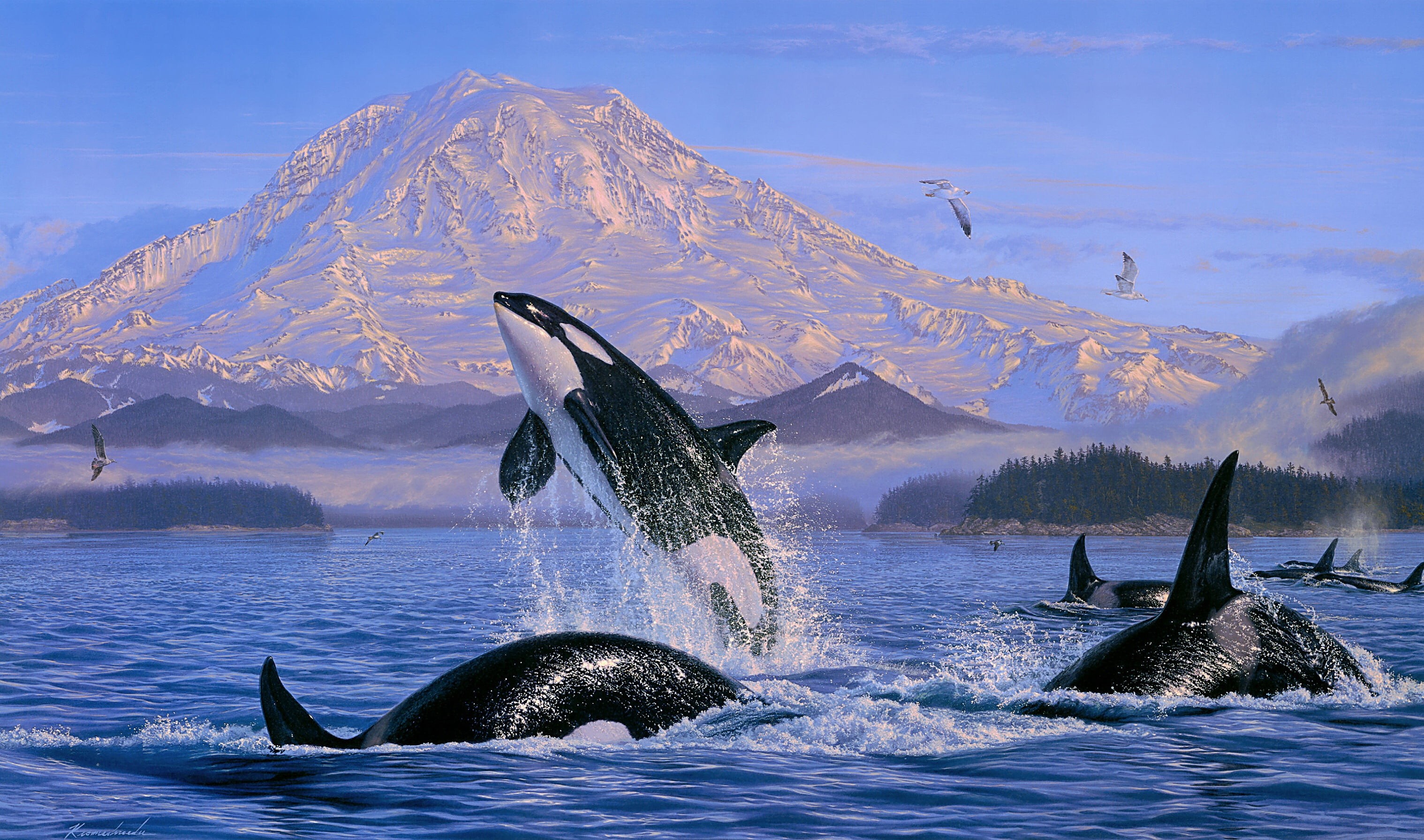 Animal, Sea Life, Artistic, 2K, Painting, Orca, HD Wallpaper