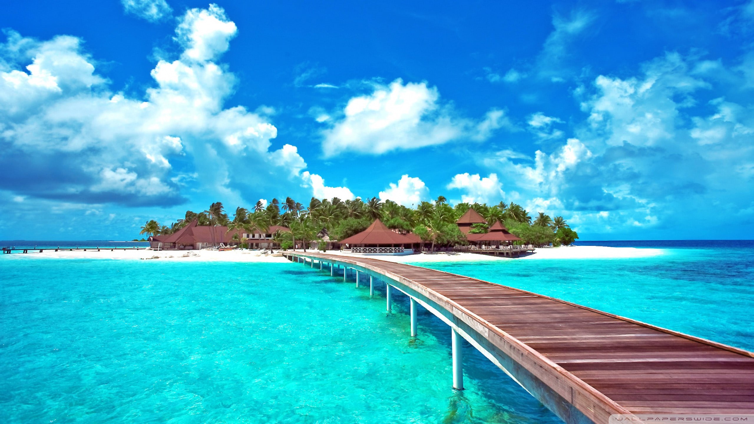 2K, andres, caribbean, sea, desktop, island, san, colombian, hd, coral, HD Wallpaper