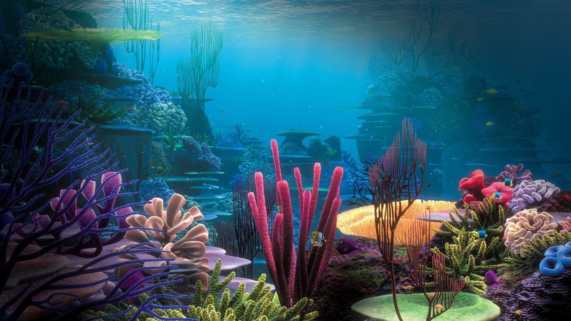 colorful, sea, water, underwater, coral, 1080P, HD Wallpaper