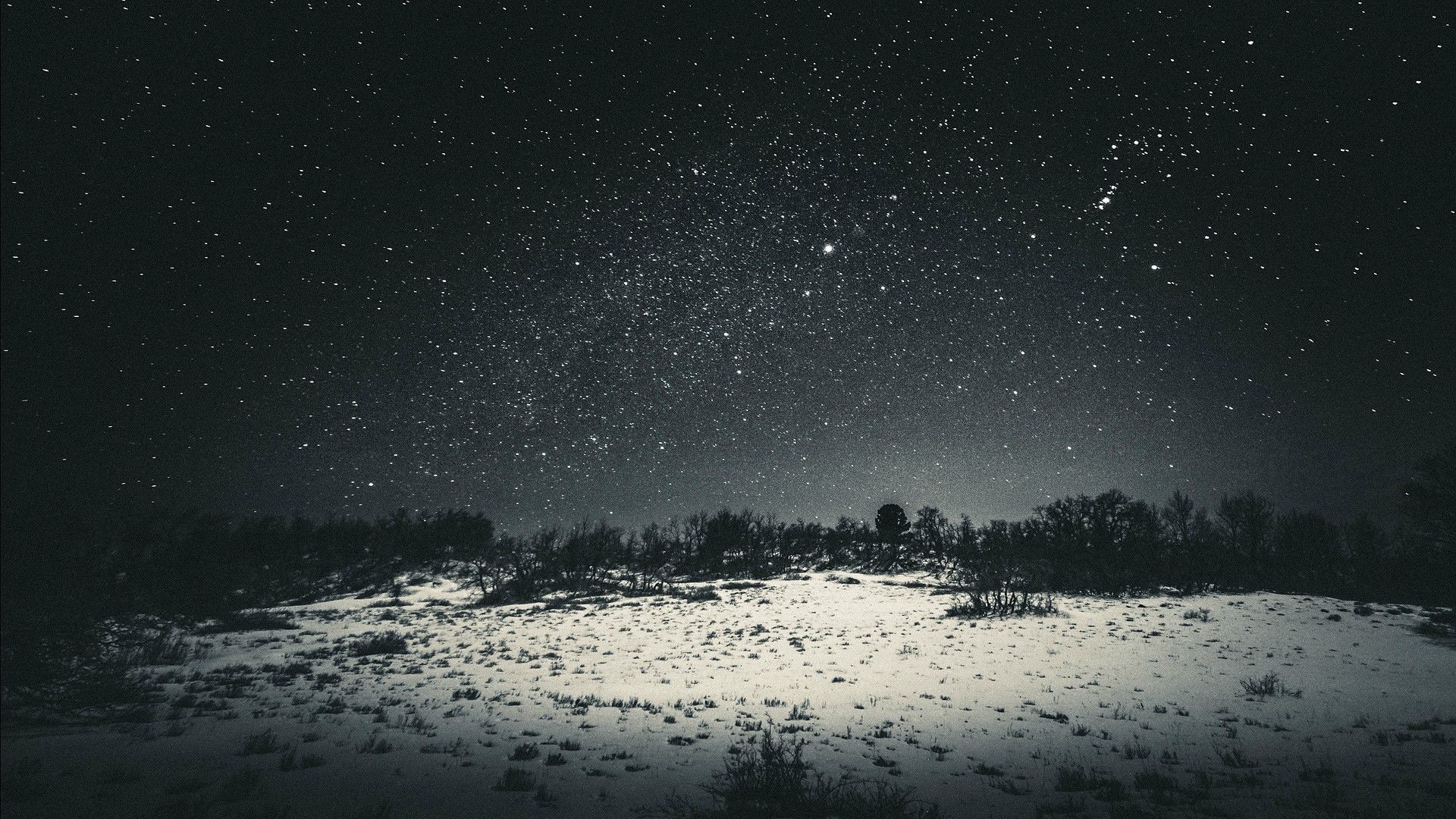dark, snow, black, nature, sky, forest clearing, trees, night, monochrome, stars, landscape, 1080P, star trails, HD Wallpaper