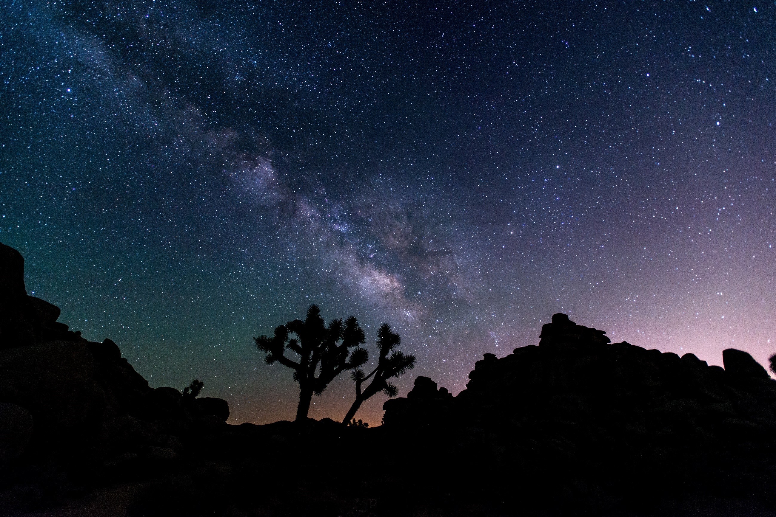 hills, silhouettes, time, tranquility, 2K, trees, usa, tranquil scene, joshua tree national park, idyllic, milky Way, planet - Space, night, serene, star, HD Wallpaper