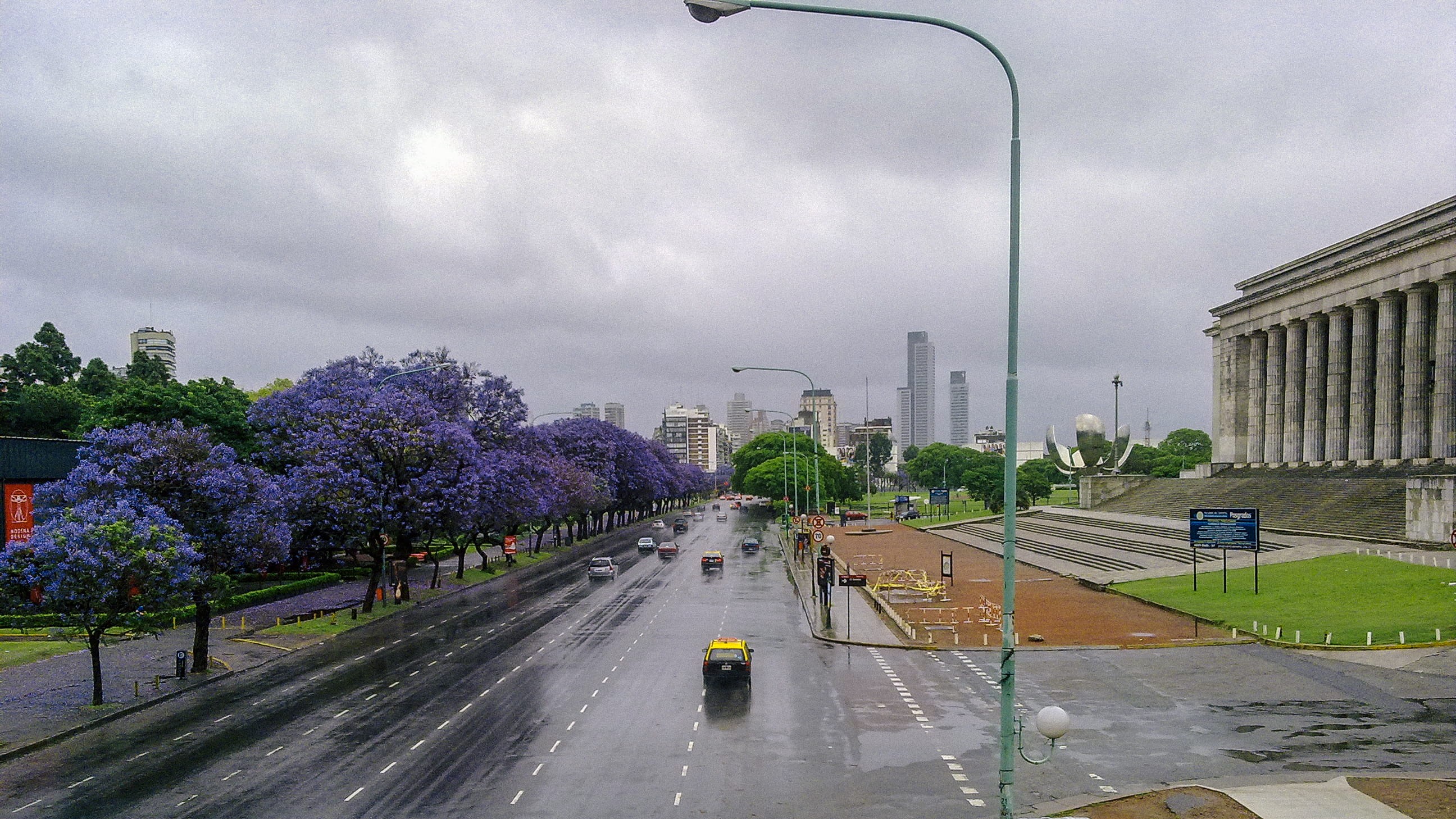 tree, car, wet, flower, plant, cityscape, springtime, no people, sky, day, facultad de derecho, road, city, zunder.tv, trees, rain, nature, built structure, HD Wallpaper