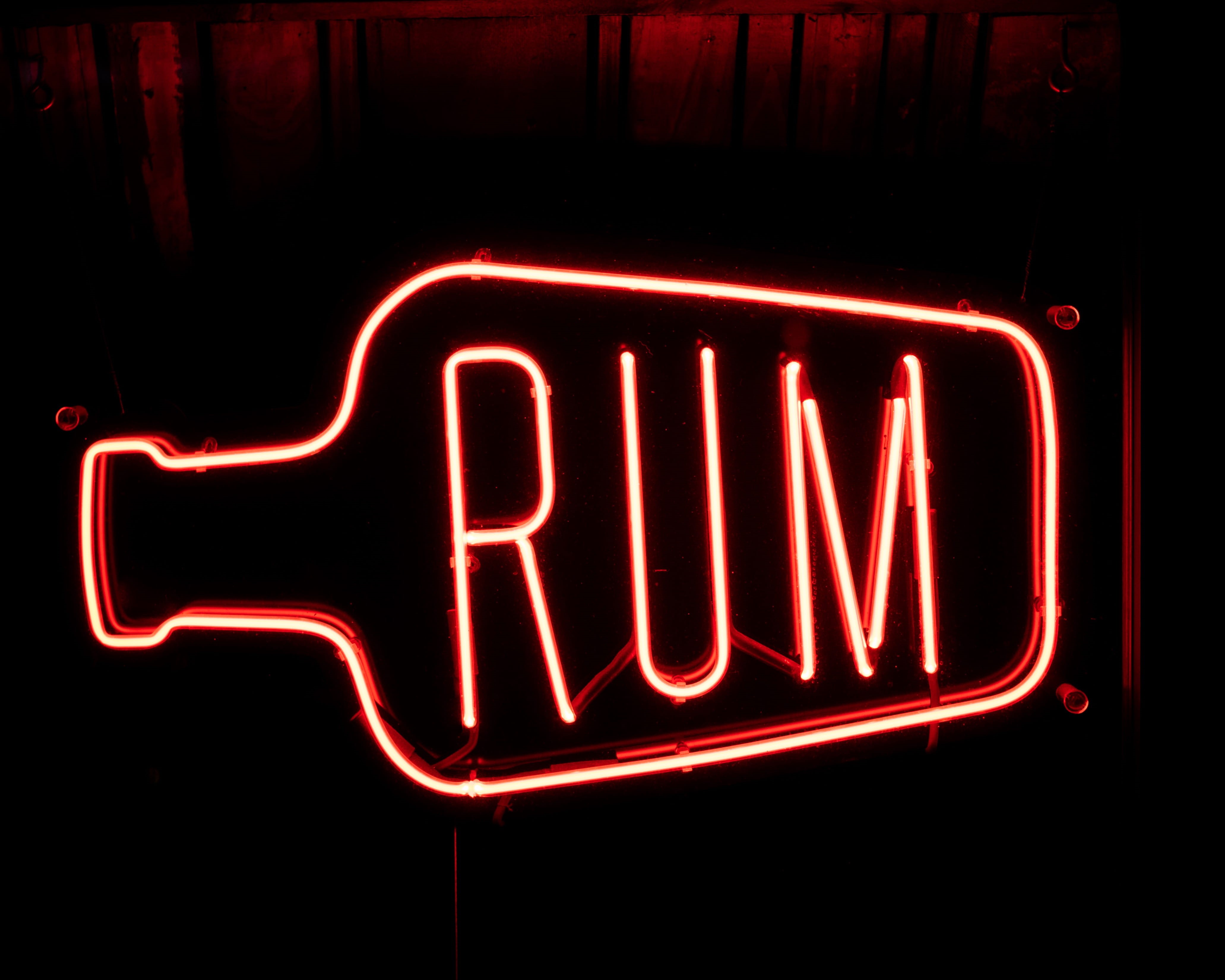 animal, illuminated, bar, dark, apparel, bright, light, usa, new york, communication, signage, red, bottle, candle, coat, arrow symbol, transportation, HD Wallpaper