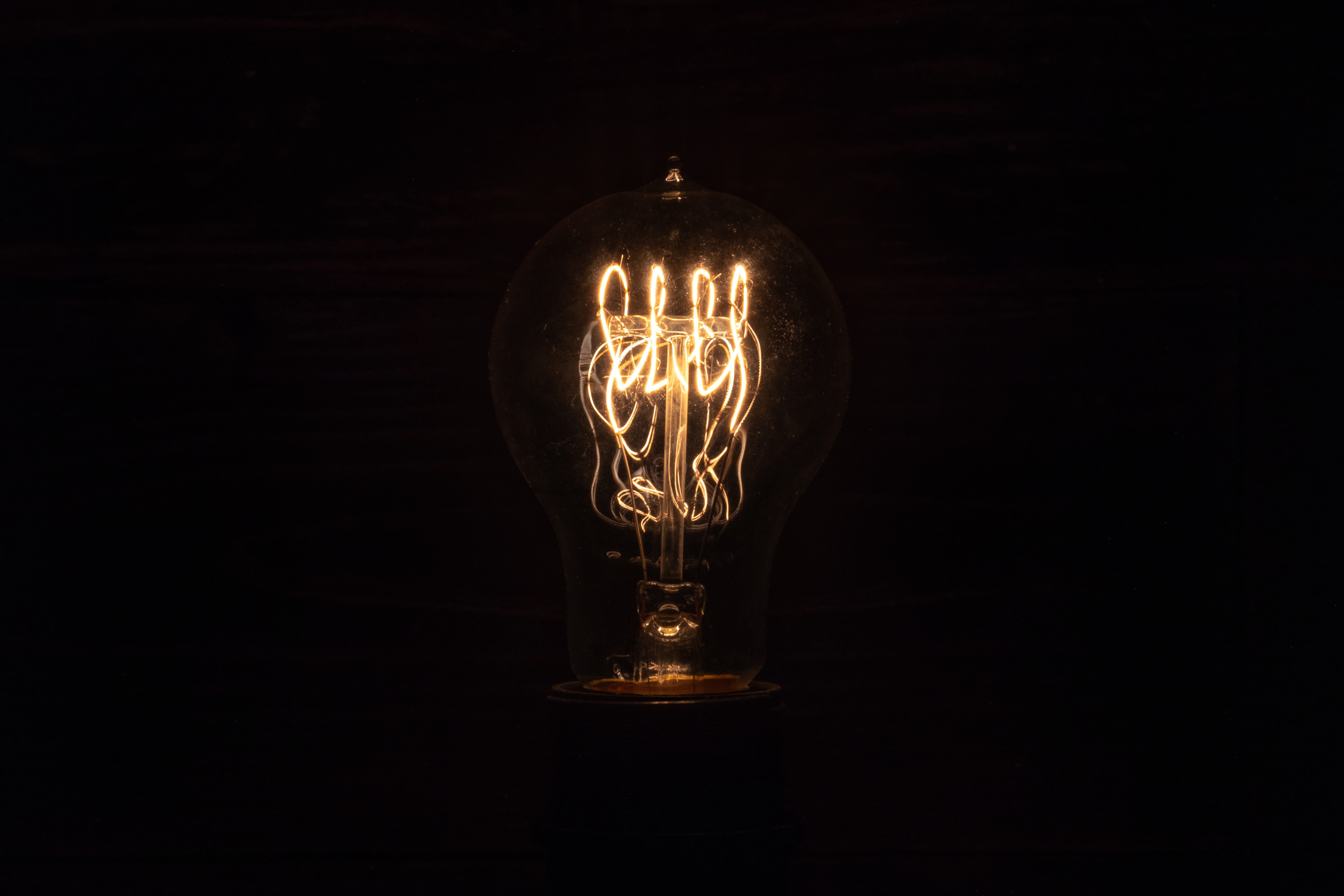 lighting equipment, black background, bird, electric light, indoors, ideas, illuminated, light - natural phenomenon, glass - material, buzzard, animal, HD Wallpaper