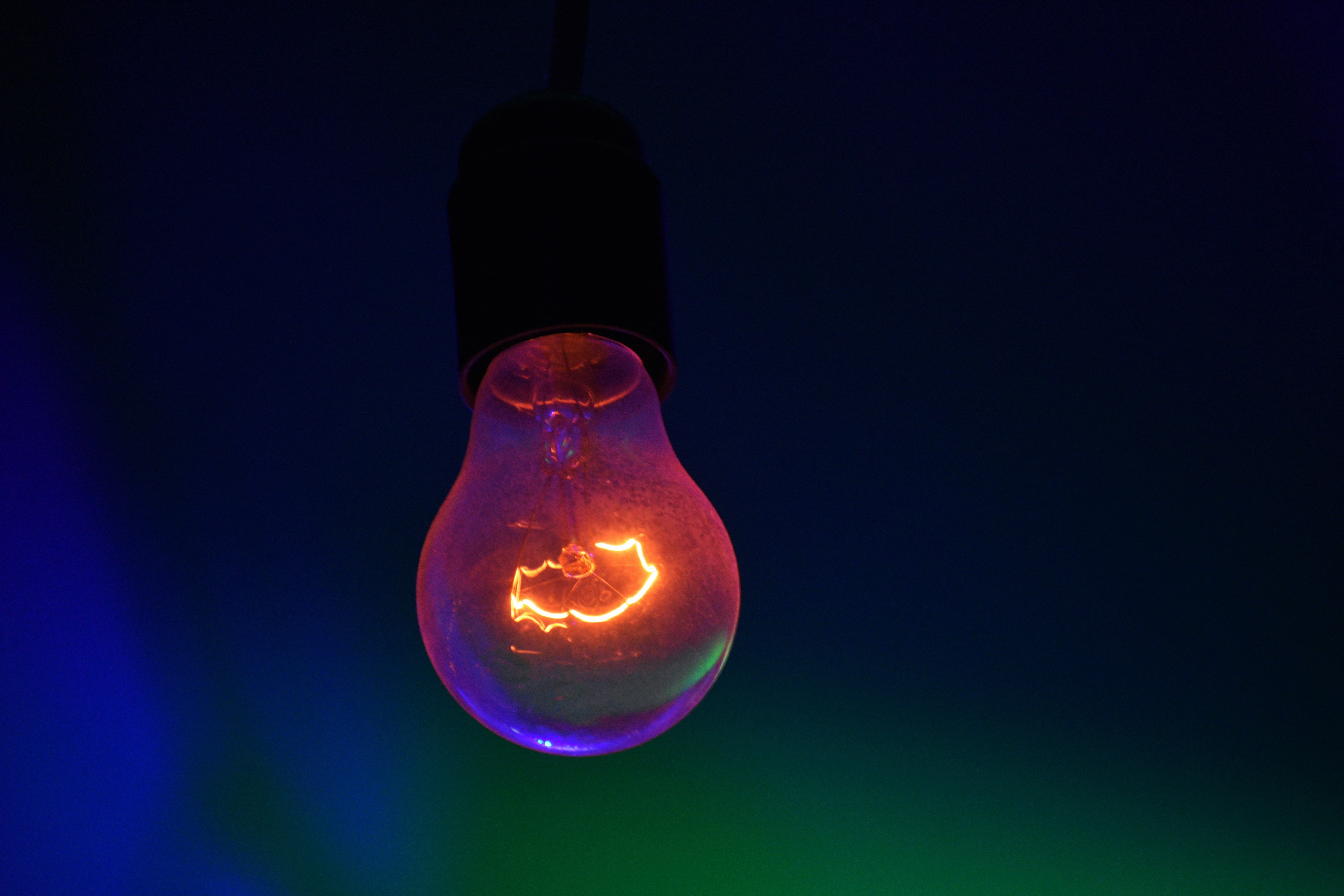 filament, animal, lighting equipment, diaper, 5K, light, no people, hawk, electric lamp, fuel and power generation, blue, led, copy space, light fixture, HD Wallpaper