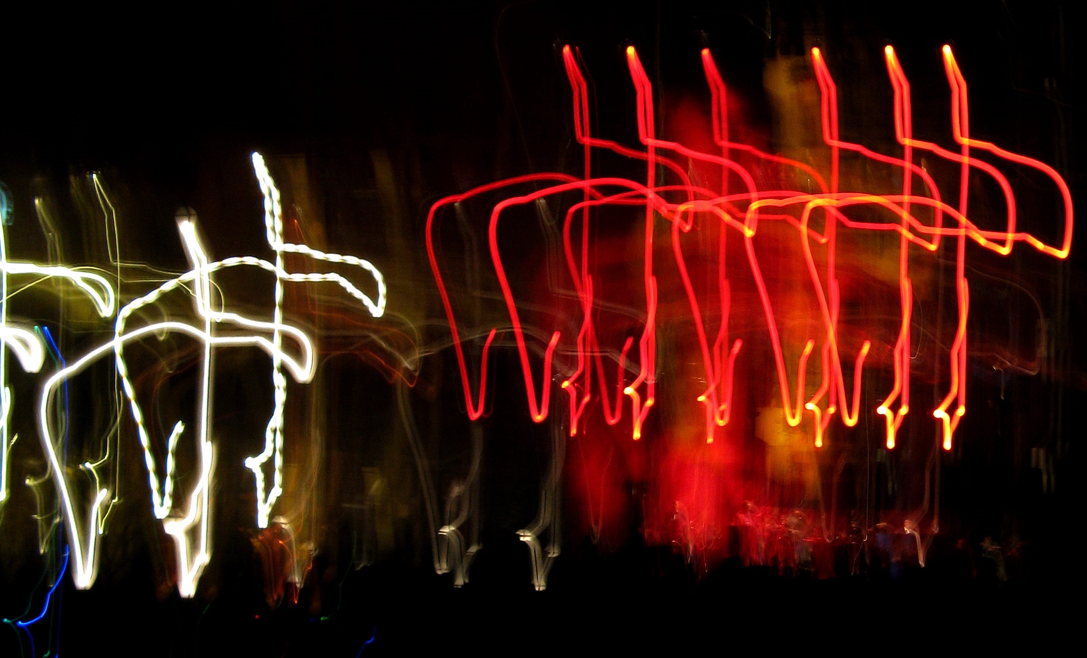 creativity, light trail, light, glowing, arts culture and entertainment, flare, flame, laser, abstract, animal, motion, leisure activities, light - natural phenomenon, HD Wallpaper