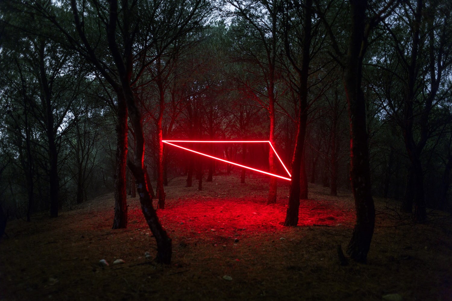 plants, landscape, laser, trees, neon, 720P, triangle, forest, dark, Nicolas Rivals, HD Wallpaper