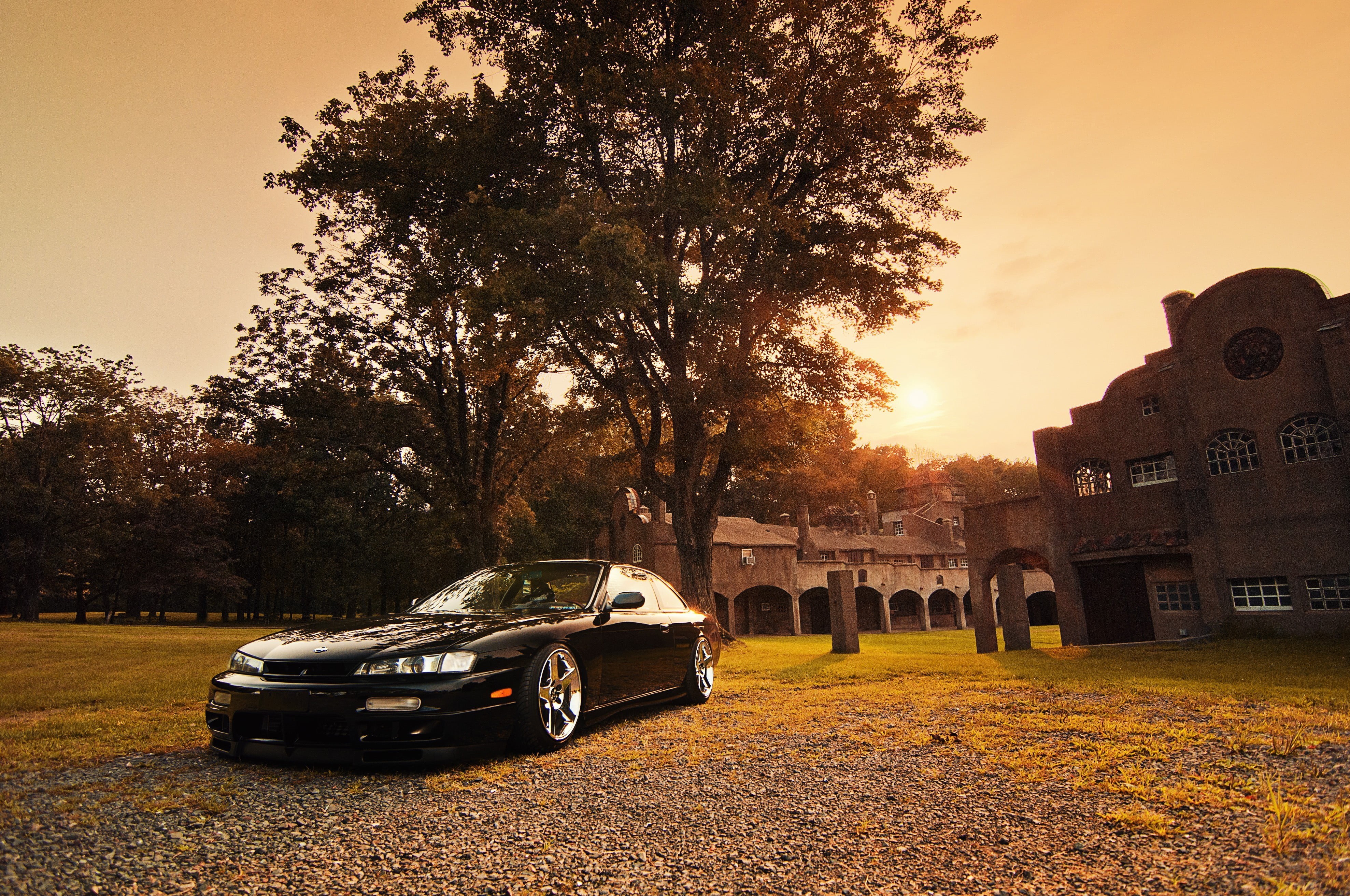 nature, architecture, growth, motor vehicle, near, plant, land vehicle, black, parked, Nissan, city, Stance, sky, sunlight, nissan silvia, vehicle, Kouki, HD Wallpaper