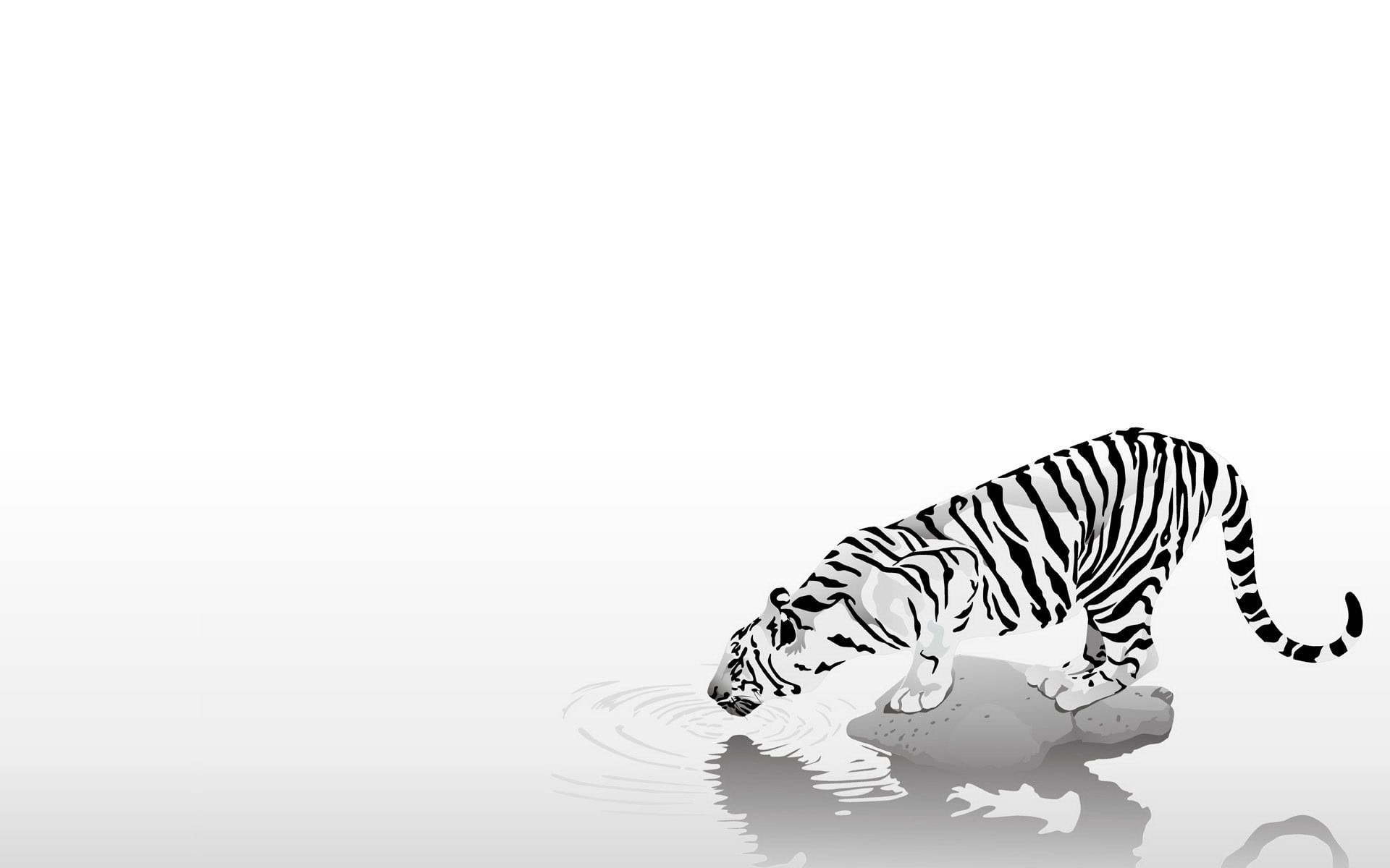 animal wildlife, mammal, art and craft, animal representation, studio shot, zebra, 1080P, indoors, copy space, white background, representation, animal themes, HD Wallpaper