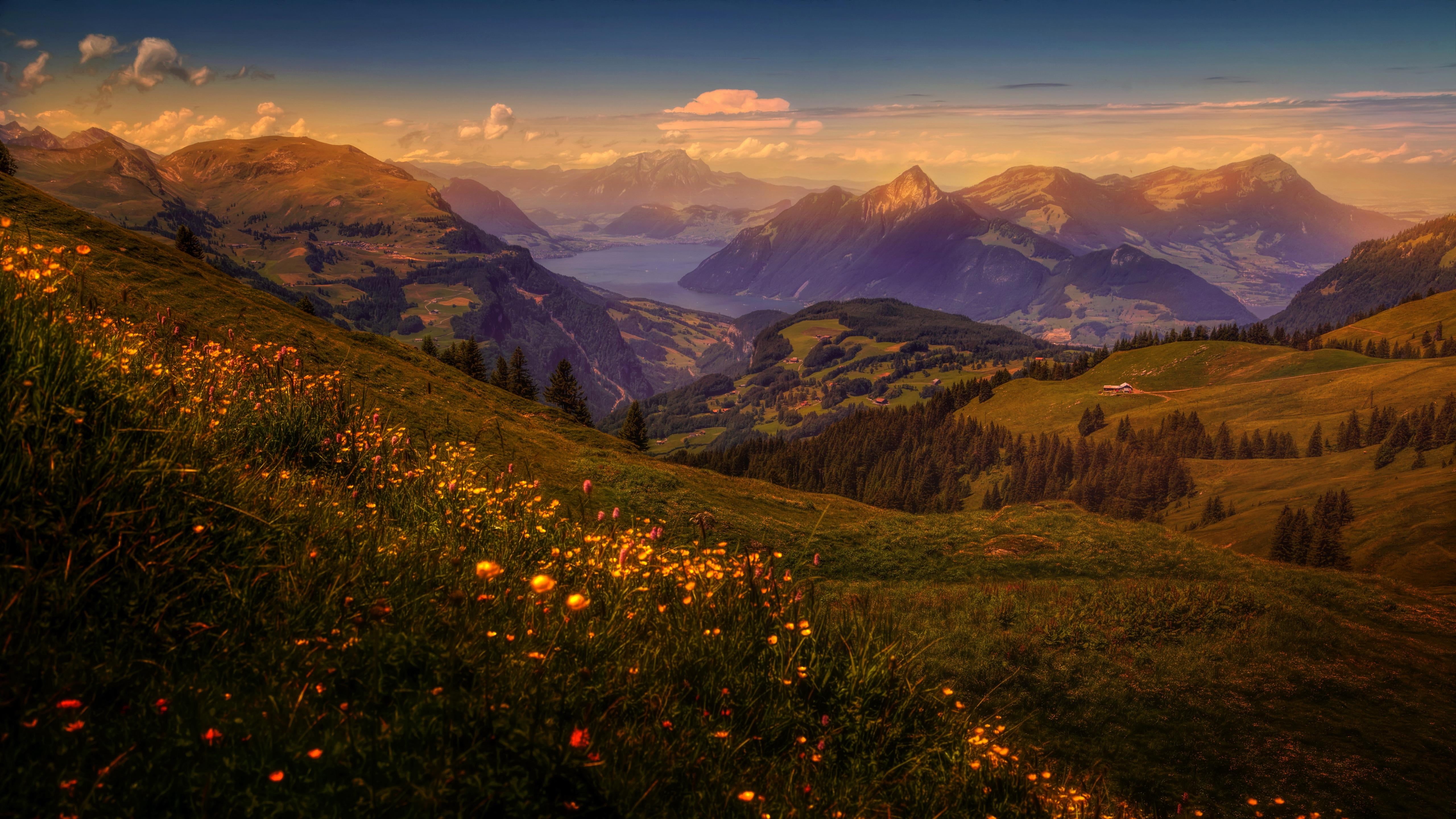 5k, landscape, tranquility, mountain, highland, field, wilderness, grassland, 5K, morning, spring, plant, tranquil scene, sunset, beauty in nature, idyllic, HD Wallpaper