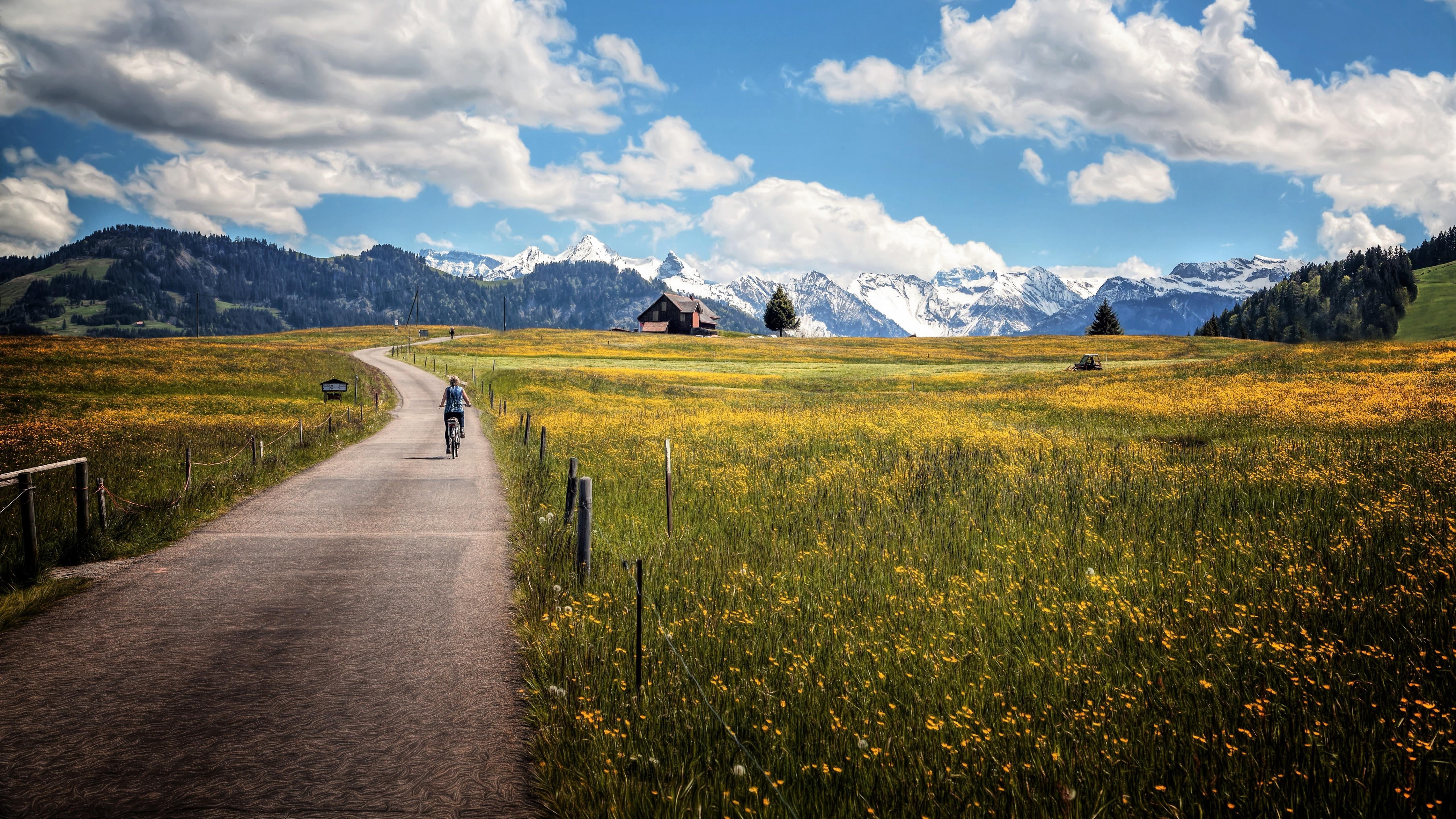 path, cyclist, grassland, wildflower, plant, beauty in nature, meadow, flower field, road, non-urban scene, environment, no people, 5k uhd, outdoors, countryside, HD Wallpaper