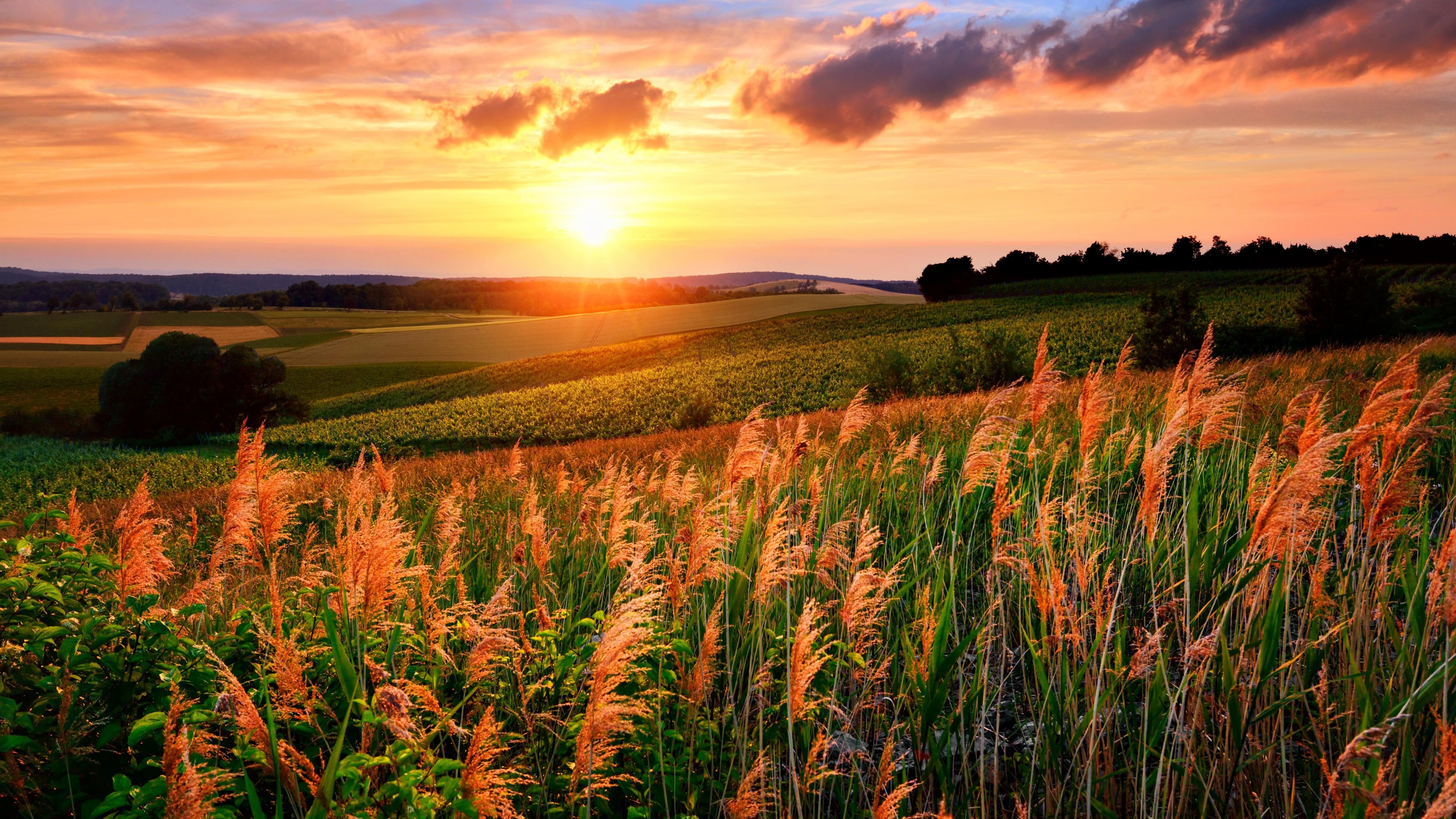sky, evening, 5K, hill, slopes, sun, grassland, slope, grass, 5kuhd, field, 5k uhd, 5k, rolling hills, sunset, HD Wallpaper