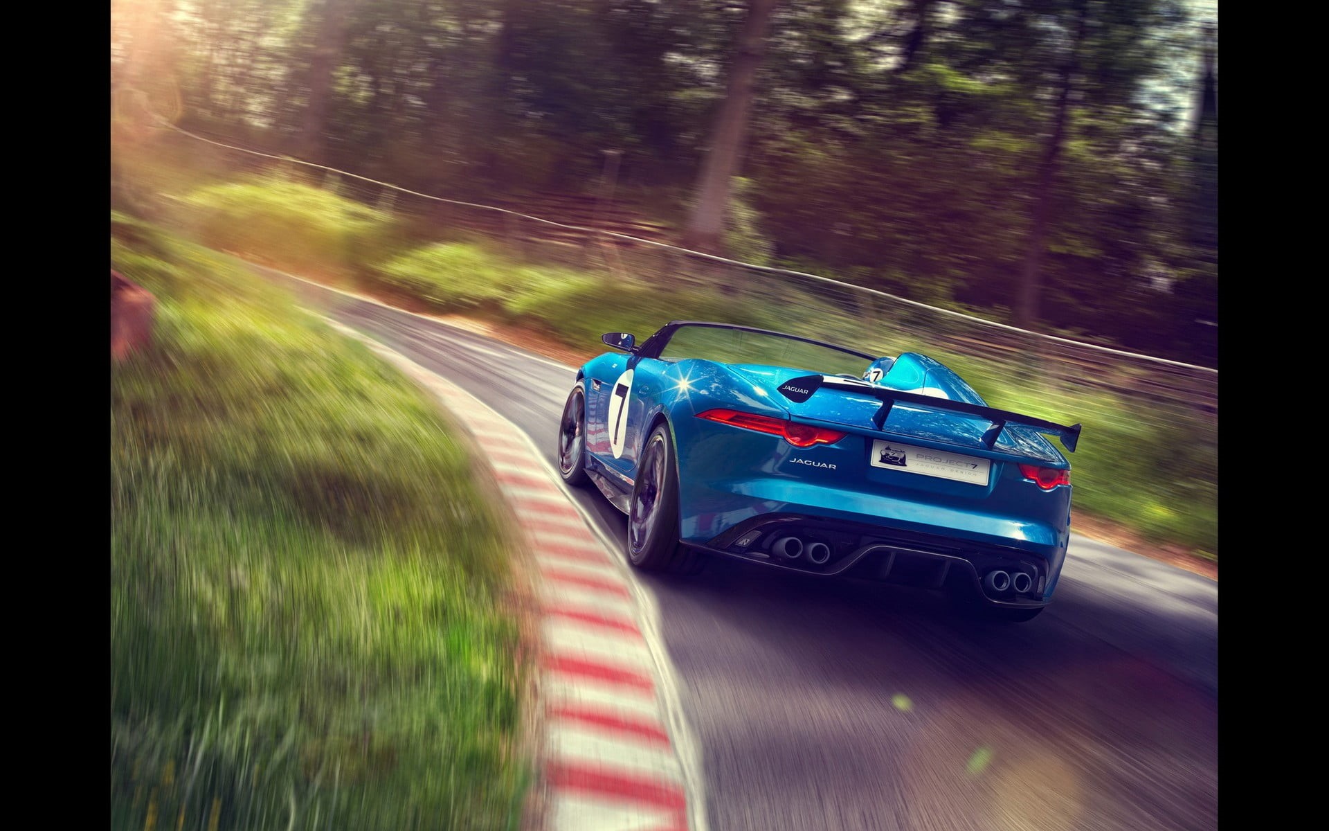 blue cars, plant, motion, outdoors, race tracks, multi colored, auto post production filter, blurred motion, on the move, road, mode of transportation, HD Wallpaper