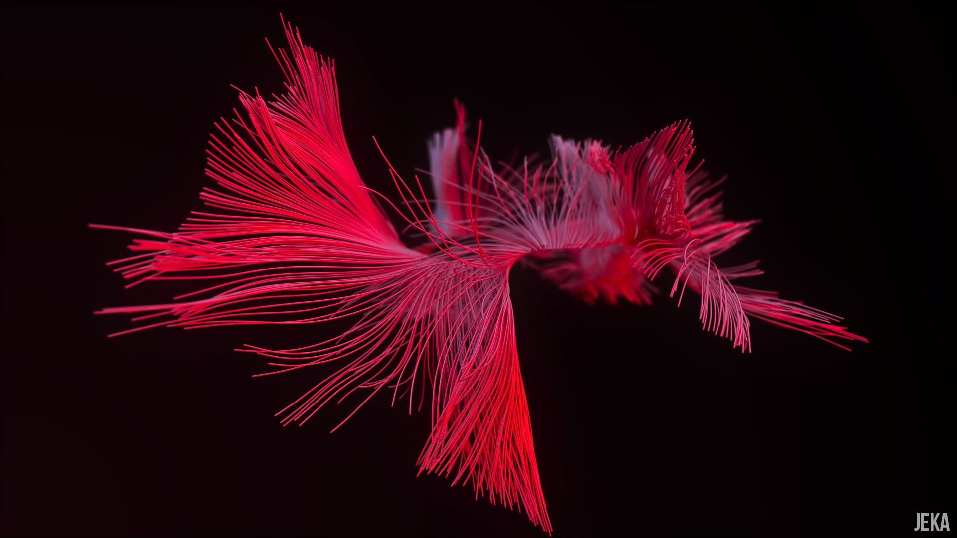 dark, new years eve, sky, event, nature, studio shot, indoors, Blender, 1080P, illustration, render, pink color, red, exploding, 3D, explosive, wire, close-up, HD Wallpaper