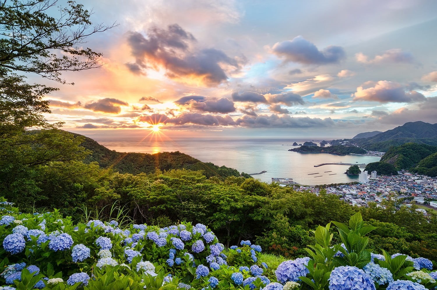 green, beauty in nature, trees, blue flowers, no people, plant, beach, clouds, blue, hills, scenics - nature, idyllic, cityscape, summer, tranquil scene, HD Wallpaper