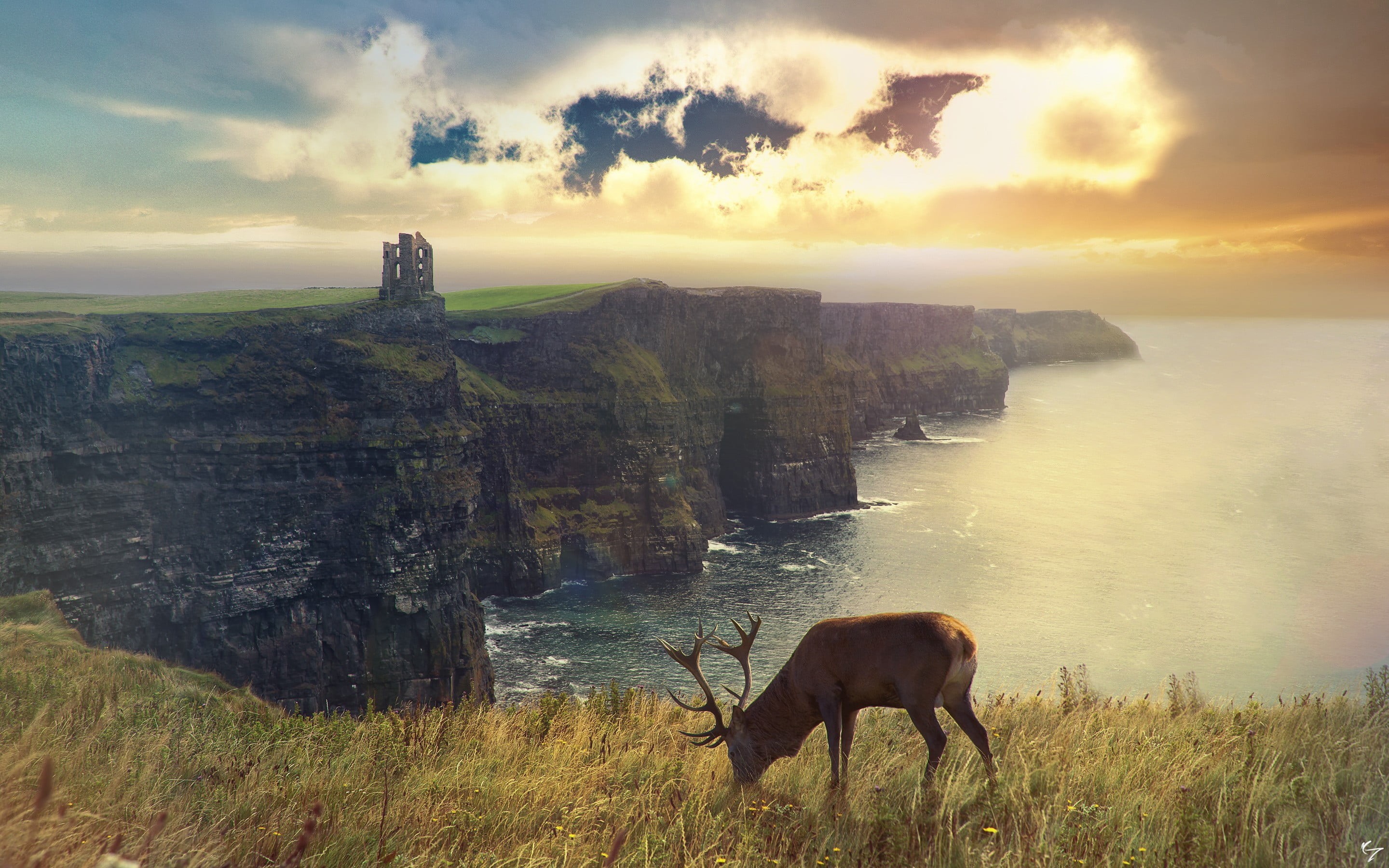 land, buck, nature, pets, mammal, elk, domestic animals, deer, animals, green, landscape, sunset, animal themes, vertebrate, one animal, 2K, water, animal, HD Wallpaper
