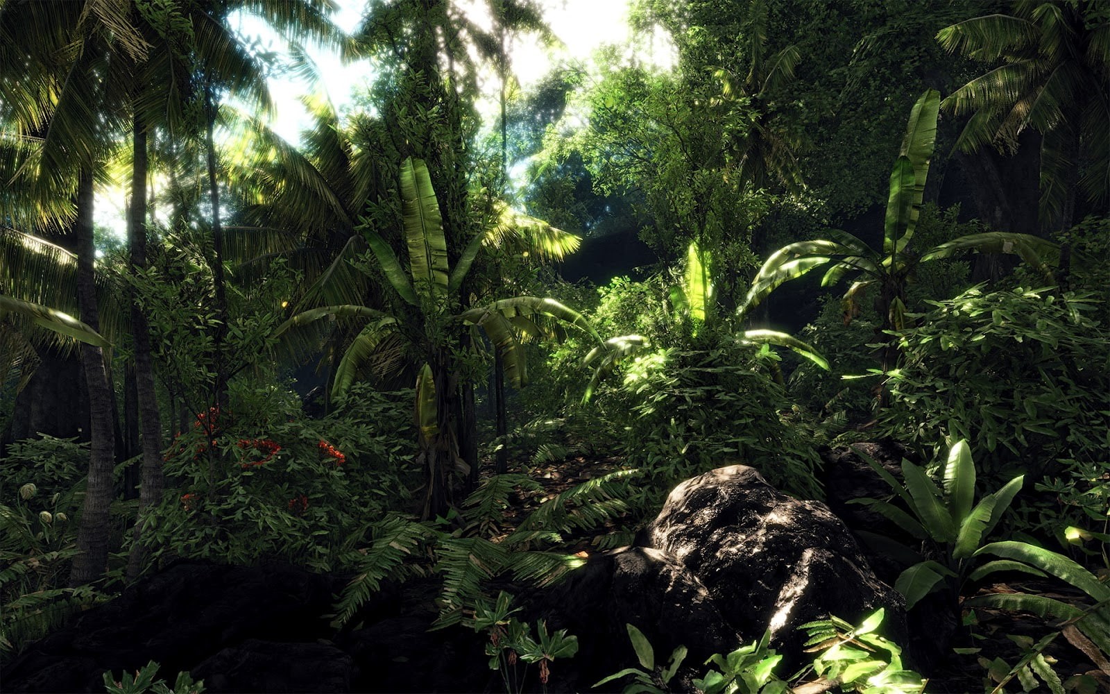 trees, tree, forest, jungle, 720P, sunshine, banana, nature, green, landscape, HD Wallpaper