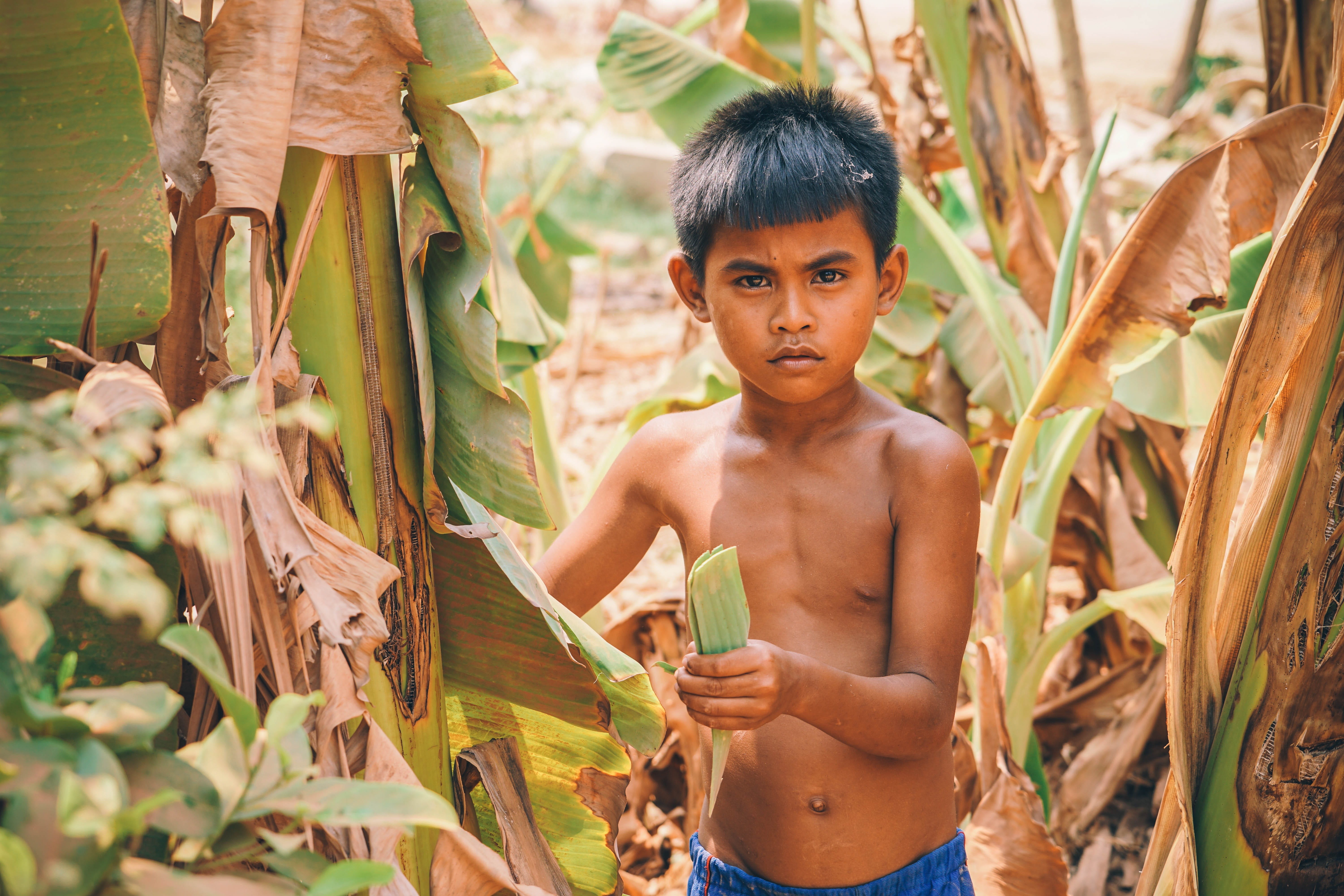 crop, field, farming, person, bananas, front, leisure activity, agriculture, day, looking, plant, portrait, shirtless, nature, travel, boy, child, men, HD Wallpaper