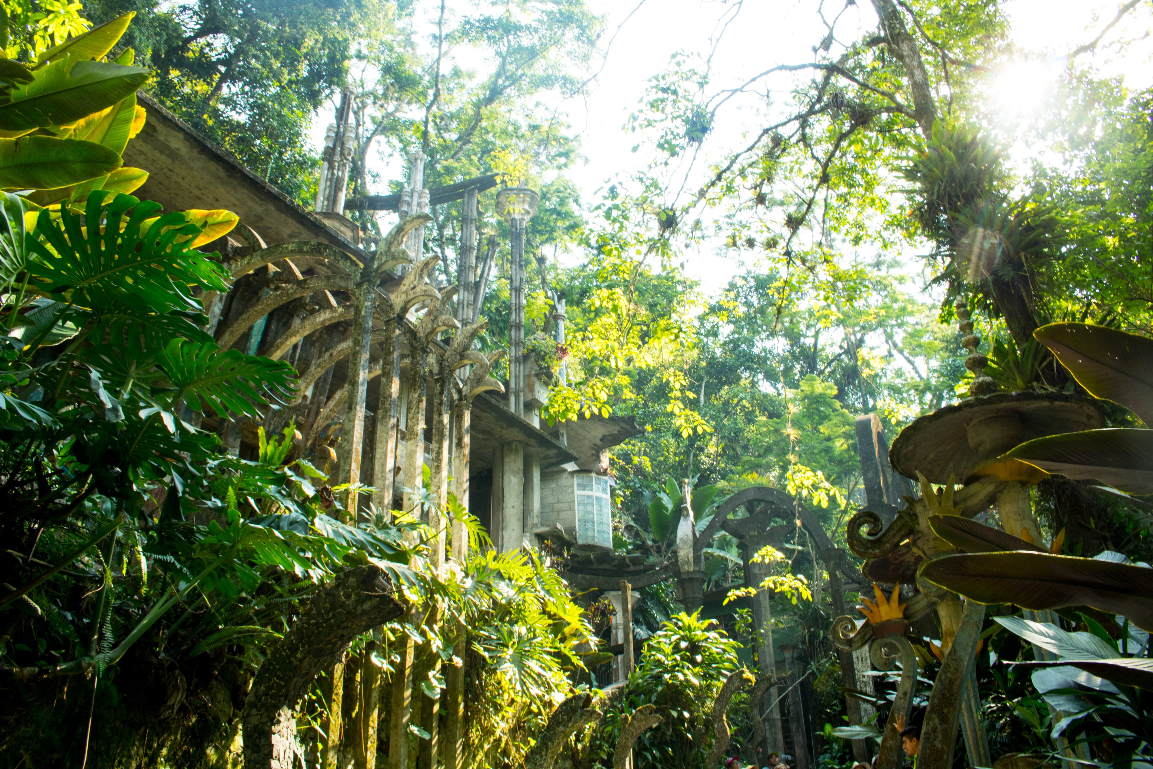 building exterior, nature, xilitla, architecture, las pozas, tranquility, trees, tree, day, land, woods, outdoors, sunlight, 4K, built structure, no people, HD Wallpaper
