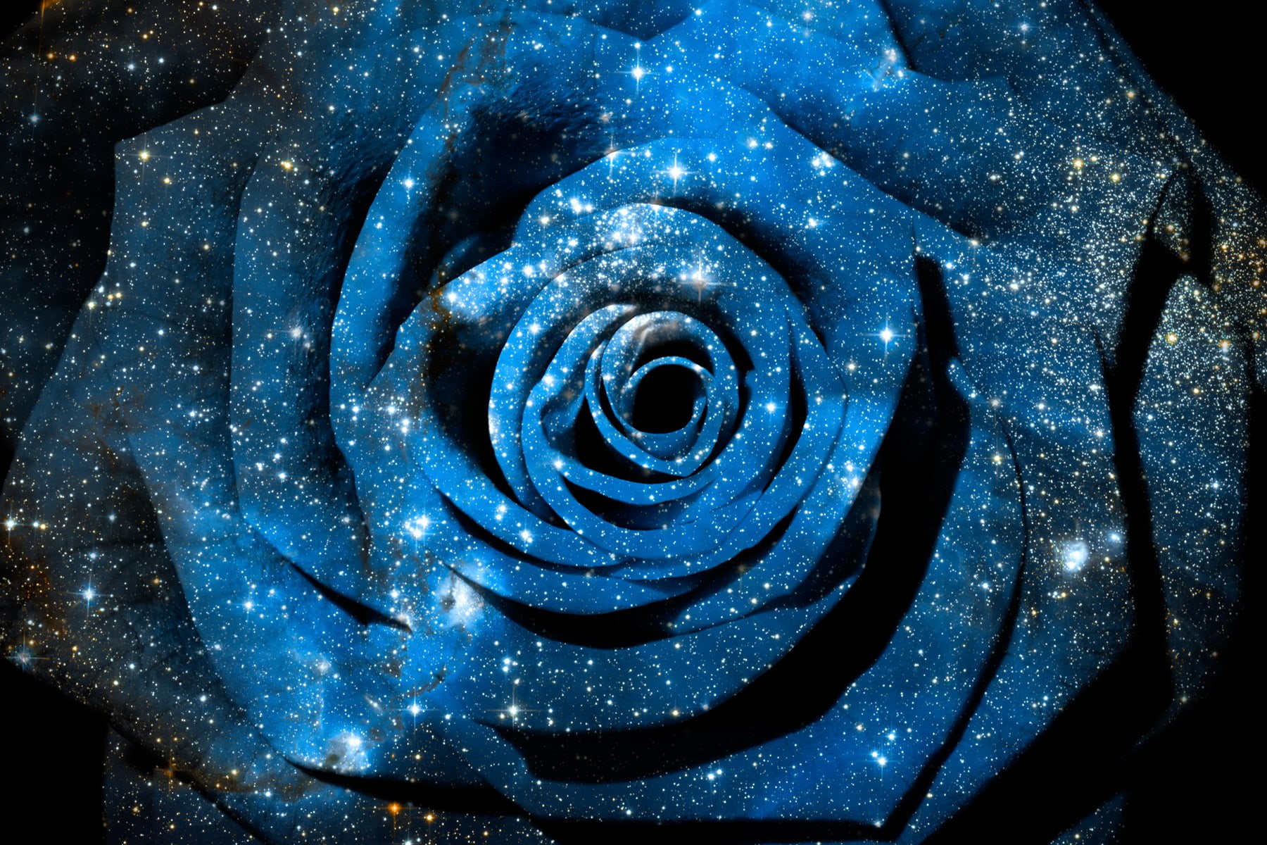 epic, big  bang, curves, ethereal, texture, digital  art, glow, sci-fi, nebula, elegant, space, color, flower, white, backgrounds, infinity, lights, dreamy, HD Wallpaper