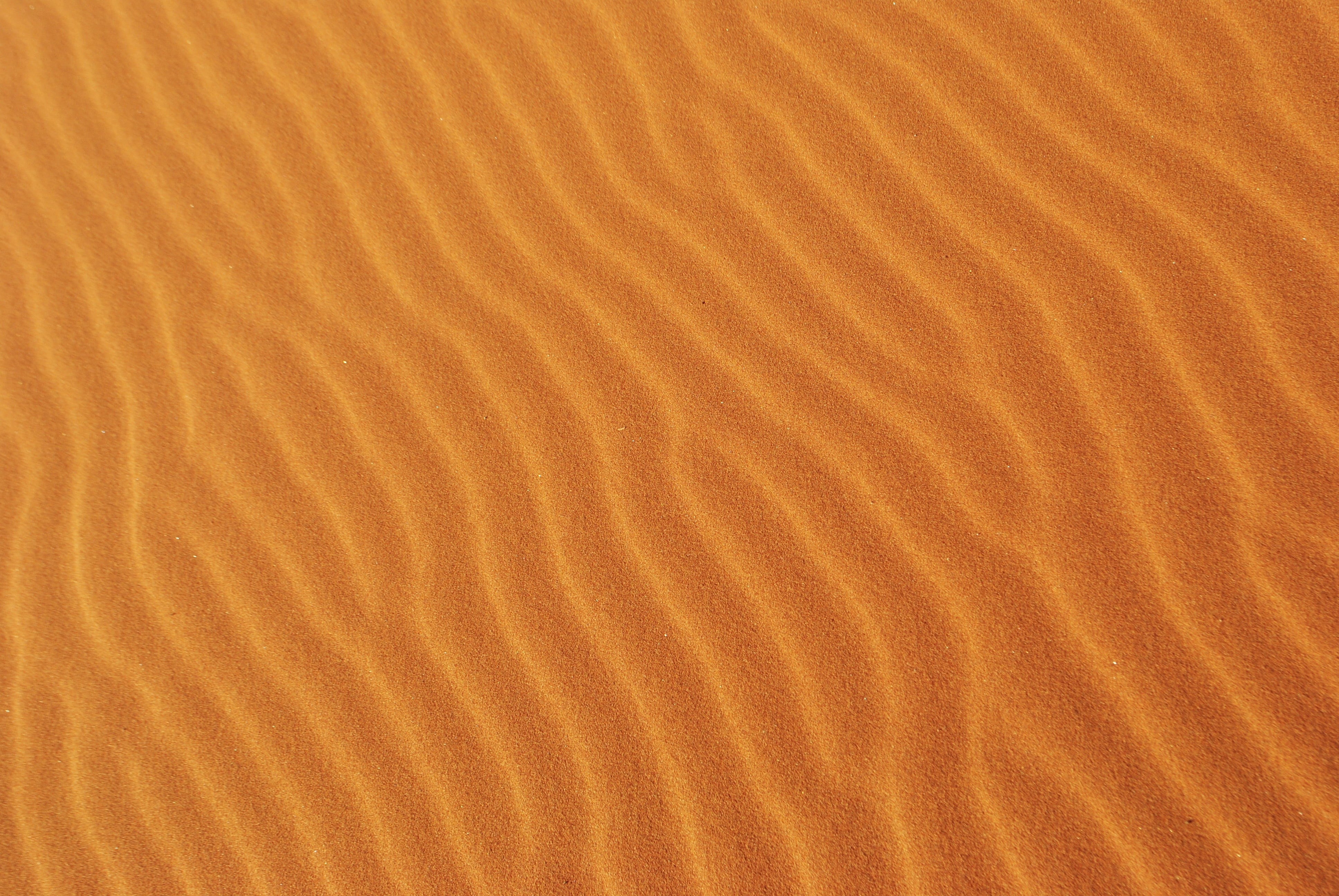natural pattern, desert, surface level, textured, namibia, sea life, full frame, wood grain, sand dune, nature, no people, land, rippled, 4K, sahara, close-up, HD Wallpaper