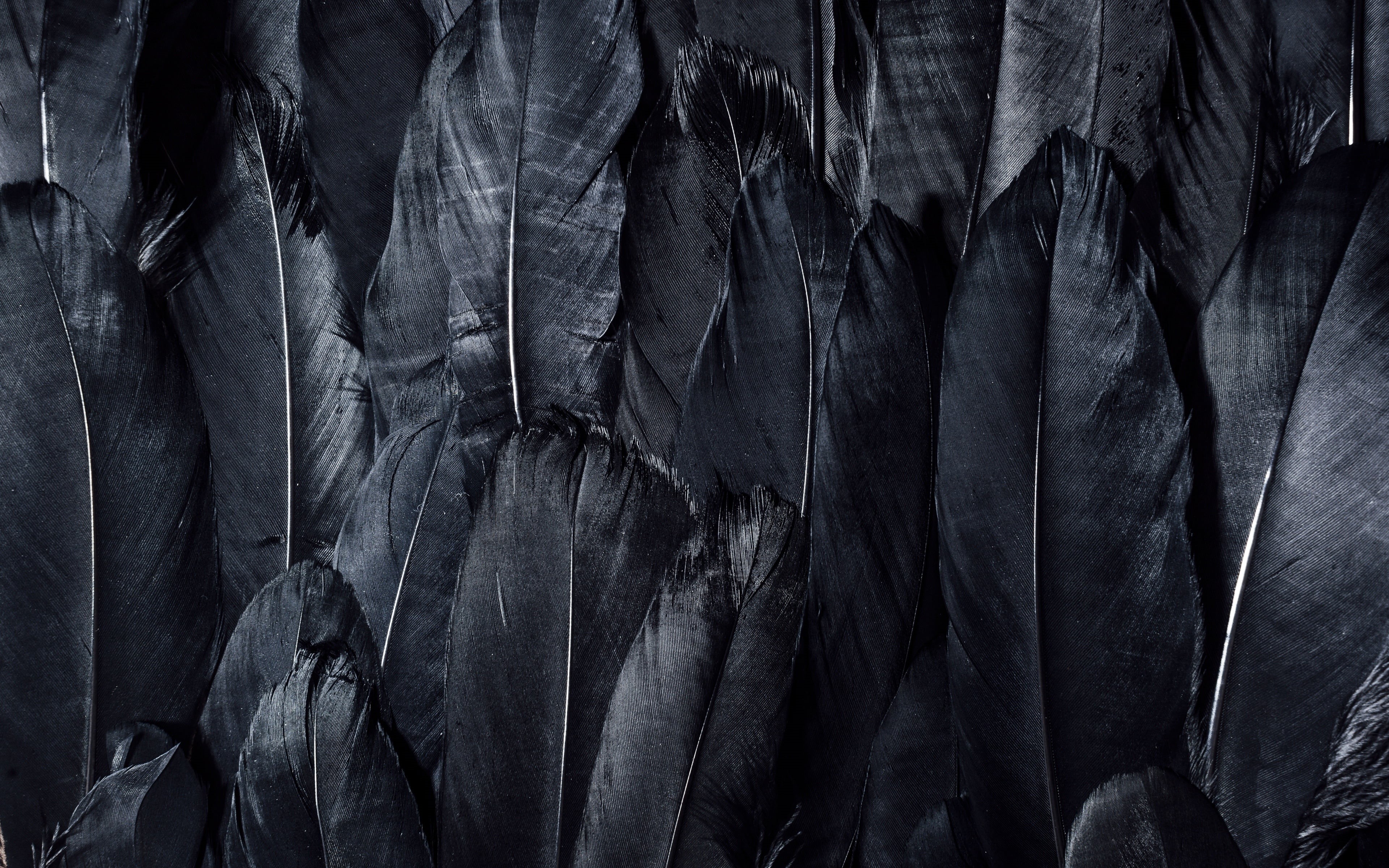 dark, 4K, textures, black feathers, 4k ultra hd background, black, feathers, HD Wallpaper
