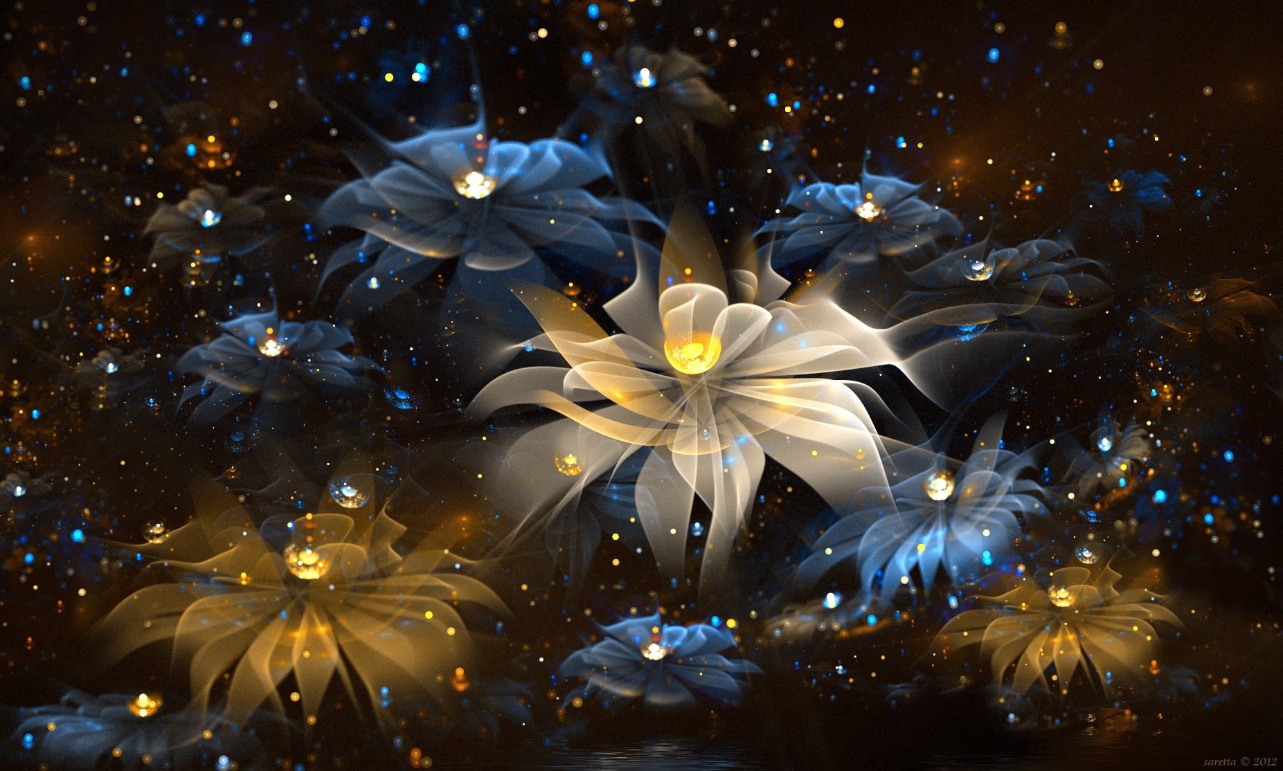outdoors, plant, freshness, holiday, close-up, flowers, nature, fractal flowers, celebration, no people, christmas lights, 720P, multicolored, fragility, HD Wallpaper