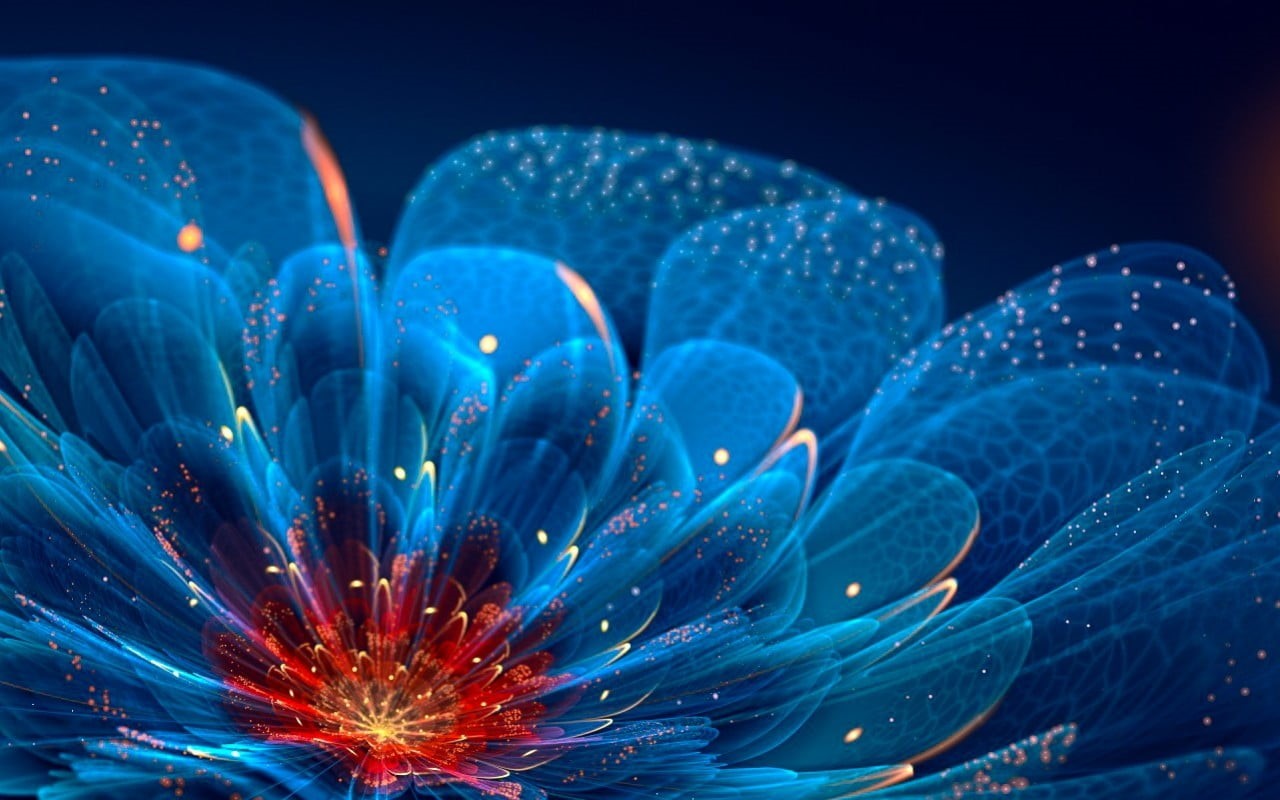 fiber optic, celebration, close-up, black background, glowing, indoors, flower, pattern, blue flowers, night, multi colored, nature, abstract, HD Wallpaper