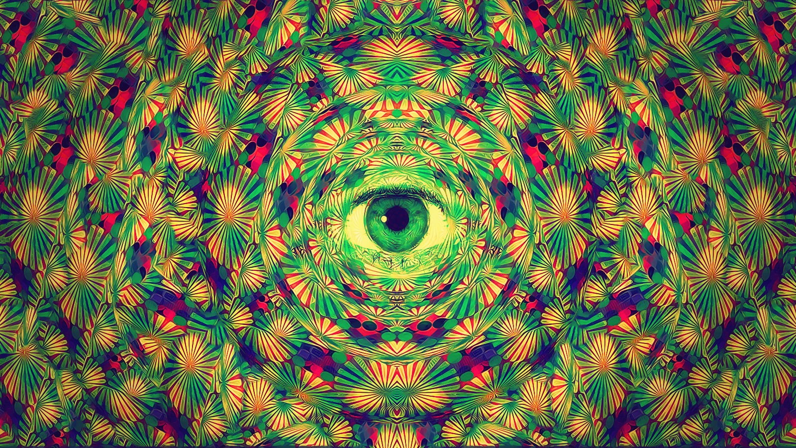 blue, red, eye, purple, feather, art and craft, floral pattern, full frame, symmetry, design, green color, shape, flower, eyes, backgrounds, HD Wallpaper