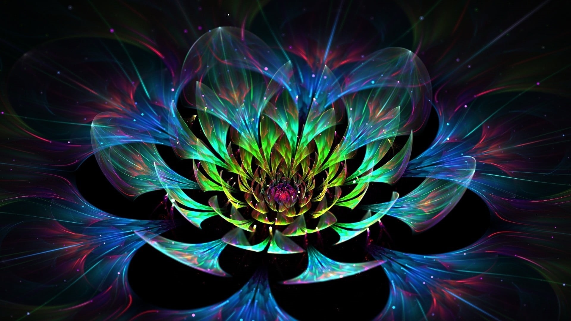 close-up, nature, full frame, flower head, abstract, fractal flowers, 1080P, digital art, colorful, inflorescence, flowering plant, multi colored, water, HD Wallpaper