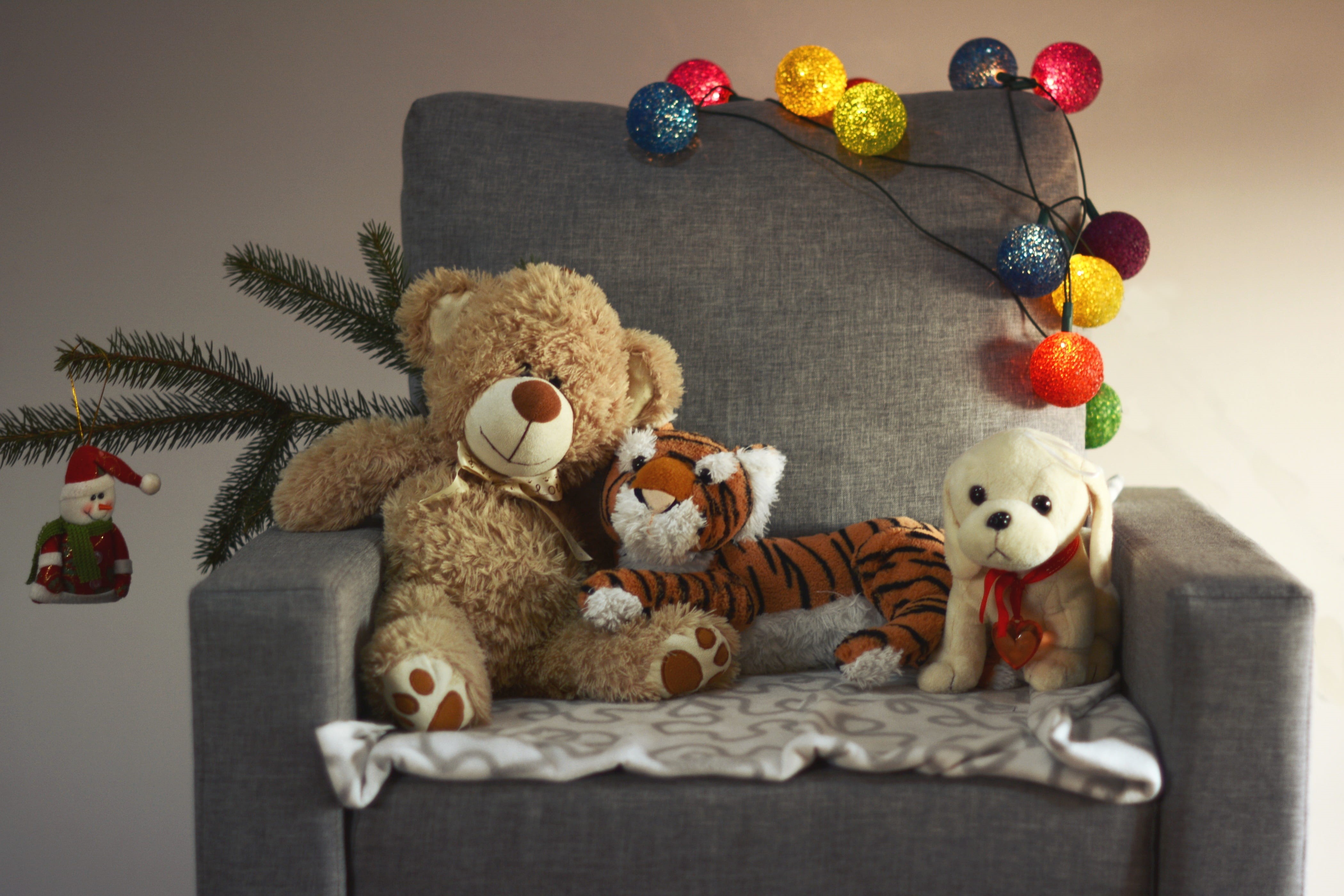 bear, colorful, child, representation, gifts, plush, art and craft, 4K, craft, no people, sofa, chair, armchair, tiger, children, black, toy, christmas, HD Wallpaper