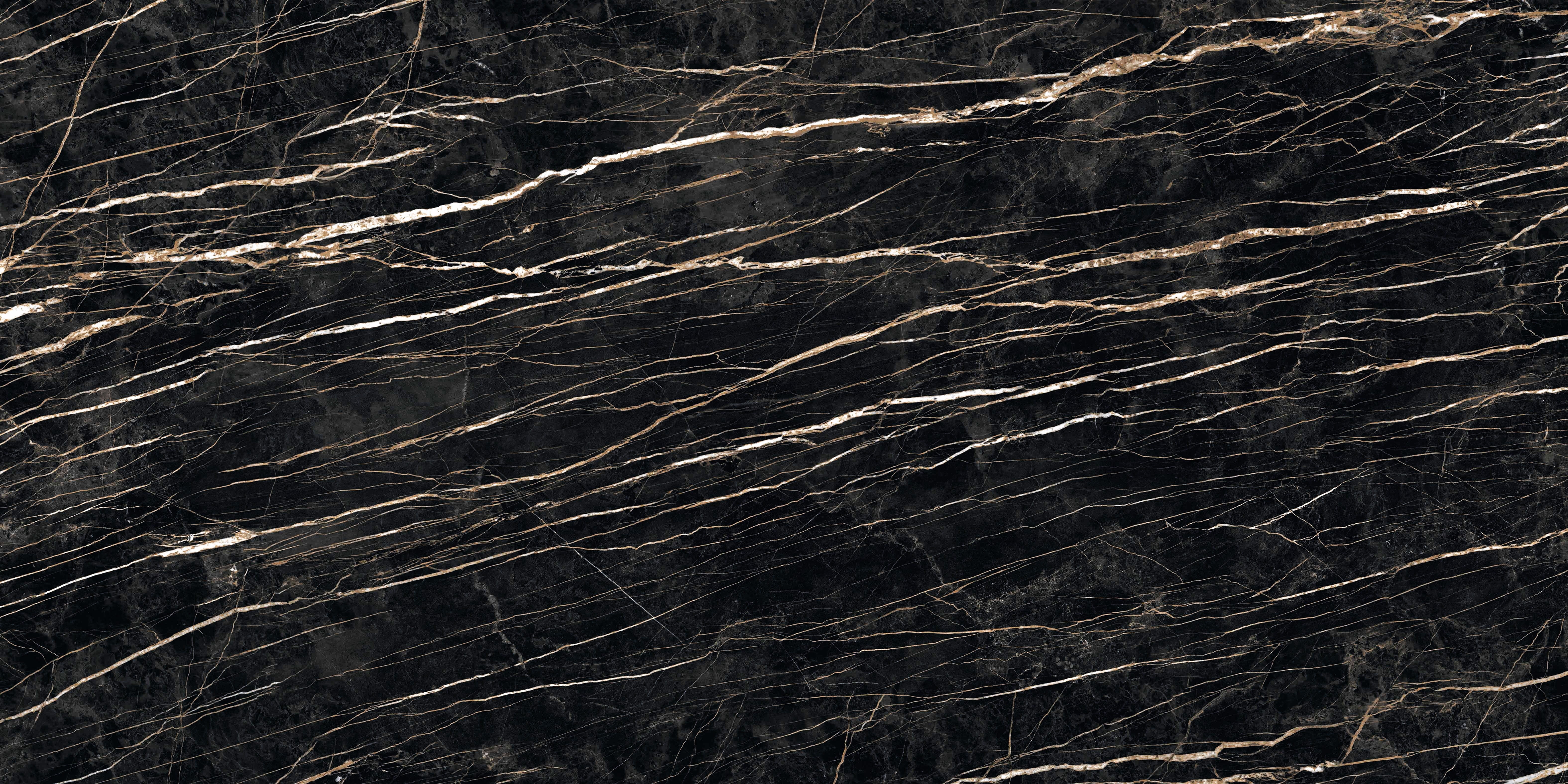 outdoors, branch, background, studio shot, close-up, textured effect, nature, structure, tiles, the surface, full frame, no people, 5K, black background, HD Wallpaper