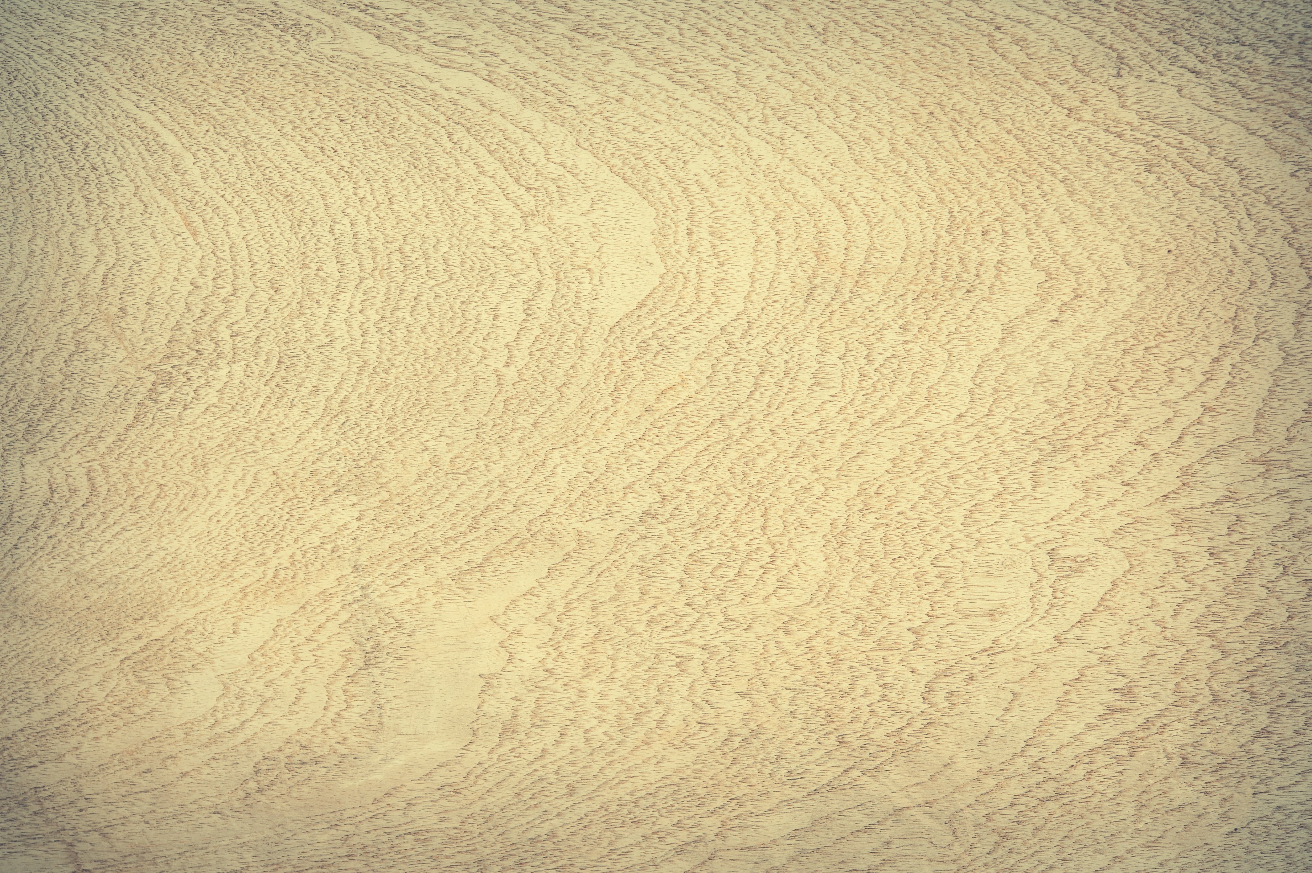 dried, textured effect, copy space, macro, lumber, textured, close-up, color, oak, background, building, beauty in nature, backdrop, crumpled, 4K, full frame, HD Wallpaper