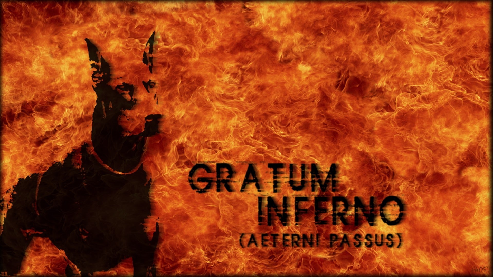 text, close-up, orange color, nature, sign, heat - temperature, night, fire - natural phenomenon, hell, western script, environment, communication, no people, HD Wallpaper