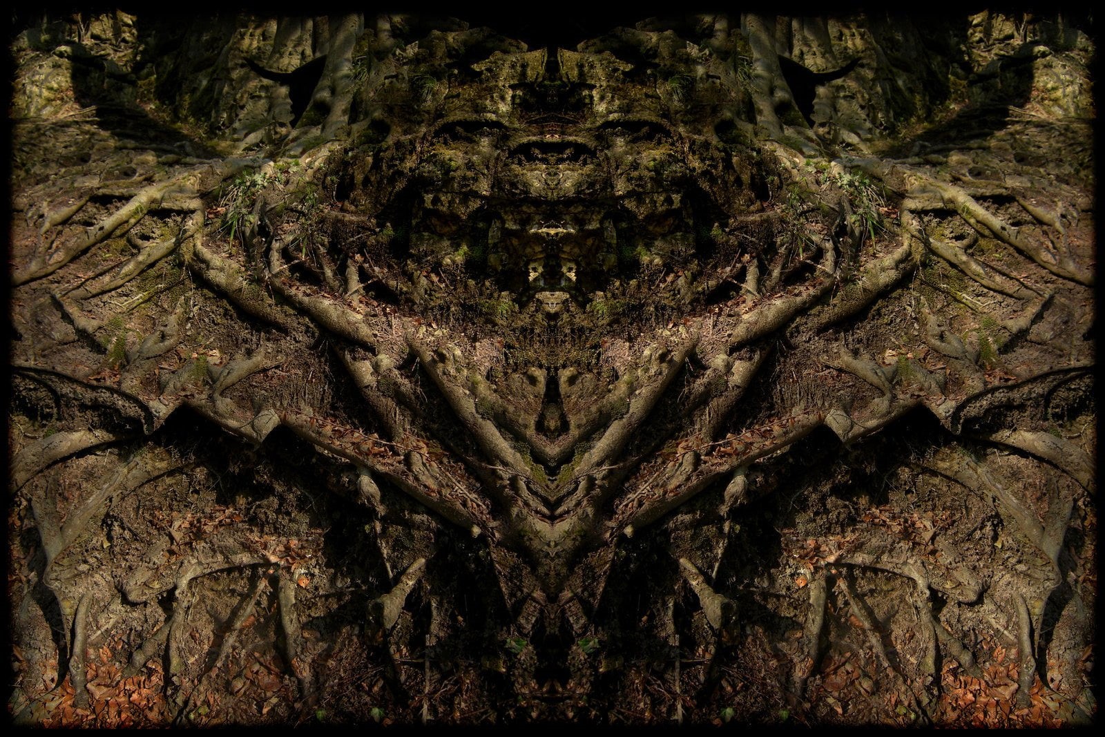 nature, plant, detail, textured, 720P, Satan, pattern, tree, auto post production filter, Satanic, close-up, full frame, Dark, transfer print, studio shot, HD Wallpaper
