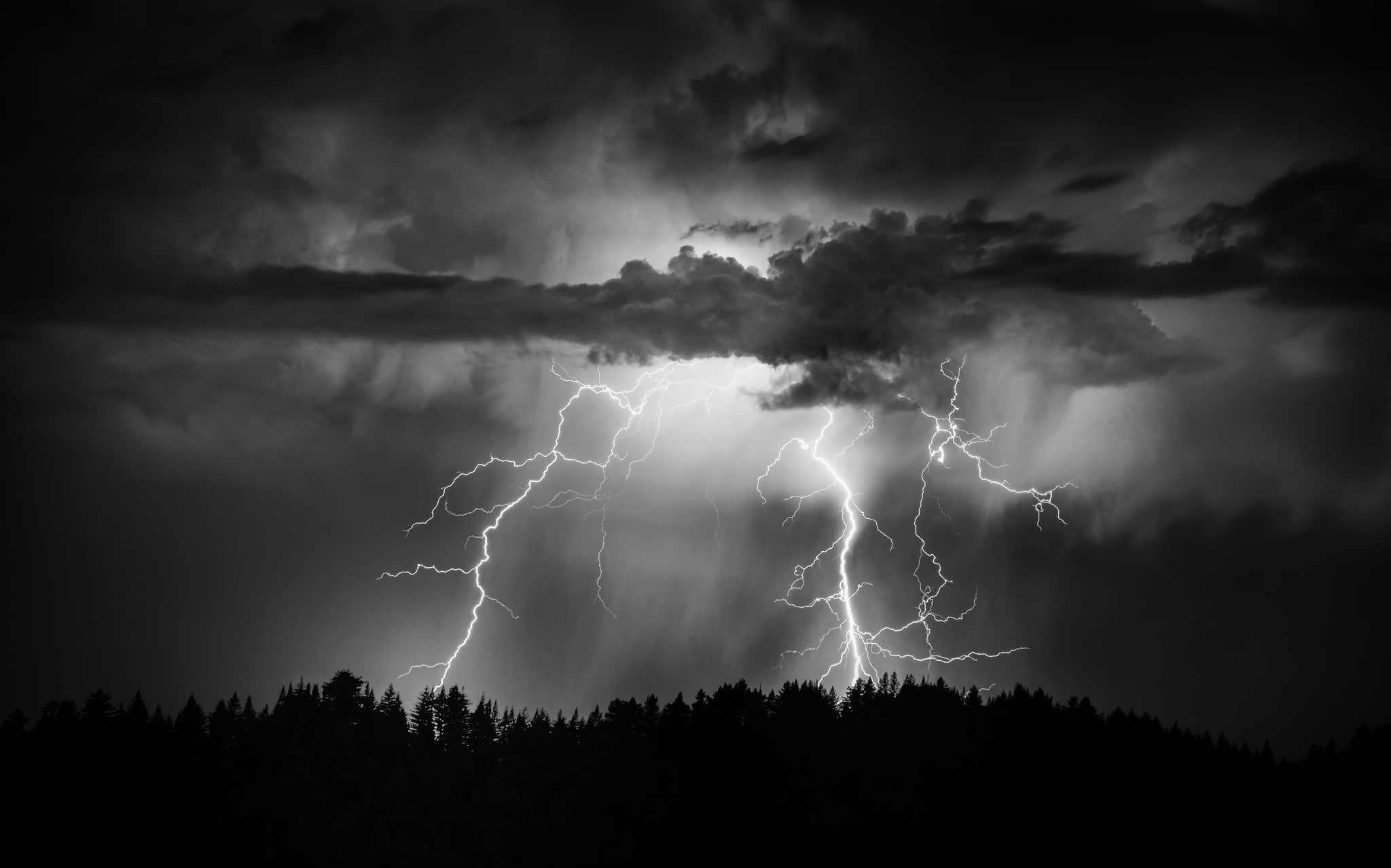 dark, ominous, dramatic sky, 1080P, environment, tree, power, cloud - sky, the sky, night, warning sign, nature, clouds, lightning, sky, no people, forest, HD Wallpaper