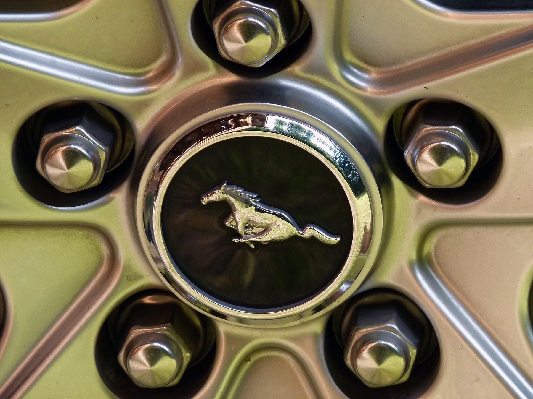 aluminum, emblem, indoors, reflection, spin, texture, mustang, animal, close-up, animal wildlife, plate, alloy, wheel, car, animal themes, front, cyclindrical, HD Wallpaper