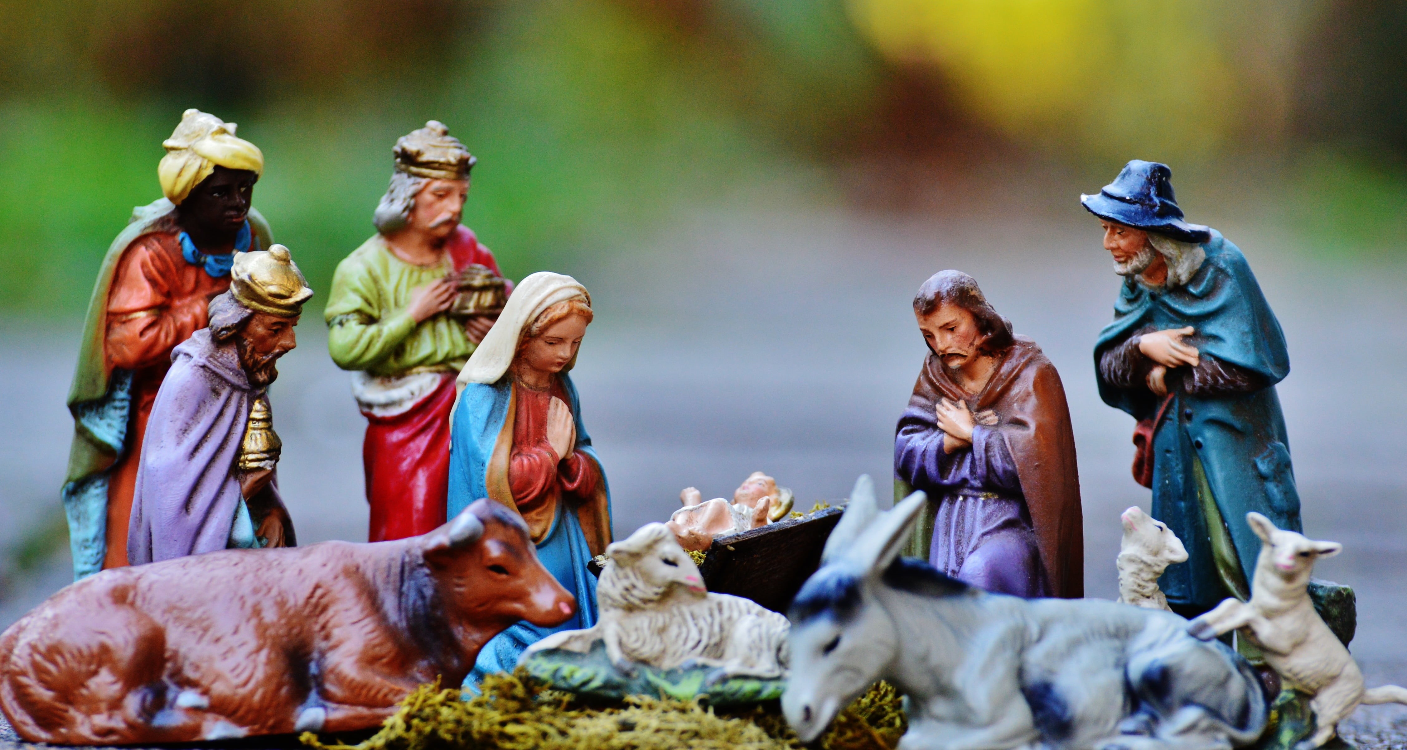 domestic, focus, christian, photography, group of people, outdoors, childhood, christmas crib figures, kings, domestic animals, crib, autumn, pets, decor, HD Wallpaper