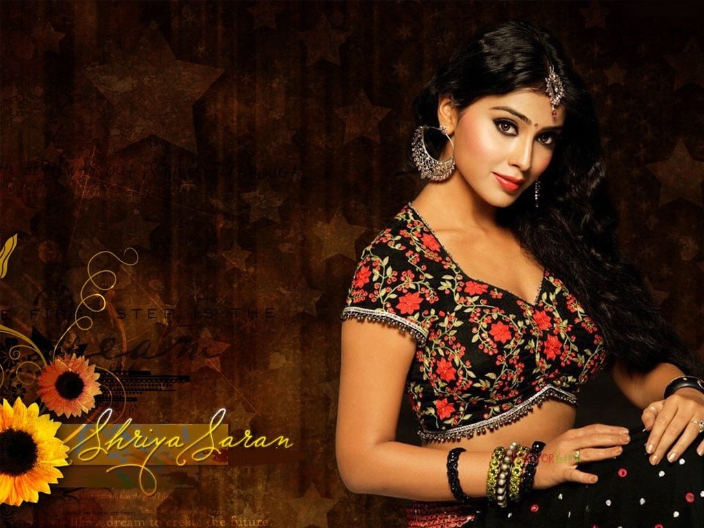 Female Celebrities, 480P, fashion model, Bollywood Celebrities, indoors, waist up, beautiful woman, young women, lifestyles, fashion, front view, sonal, HD Wallpaper