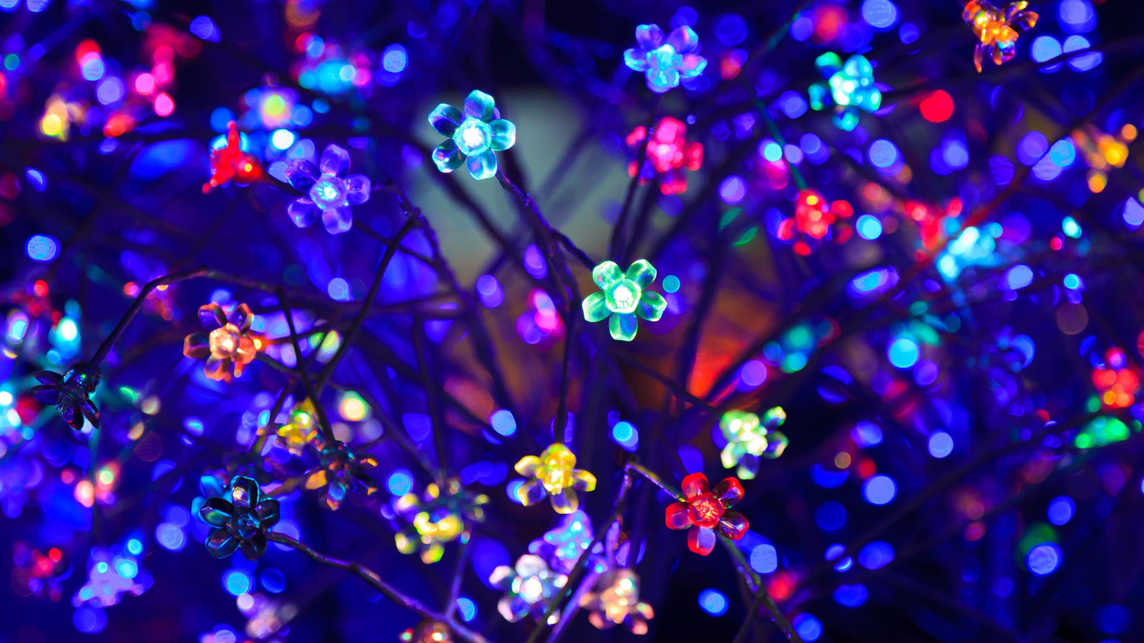 4K, abstract, decor, event, incandescent, diwali, light, decoration, lighting, lamp, blue, festival, HD Wallpaper