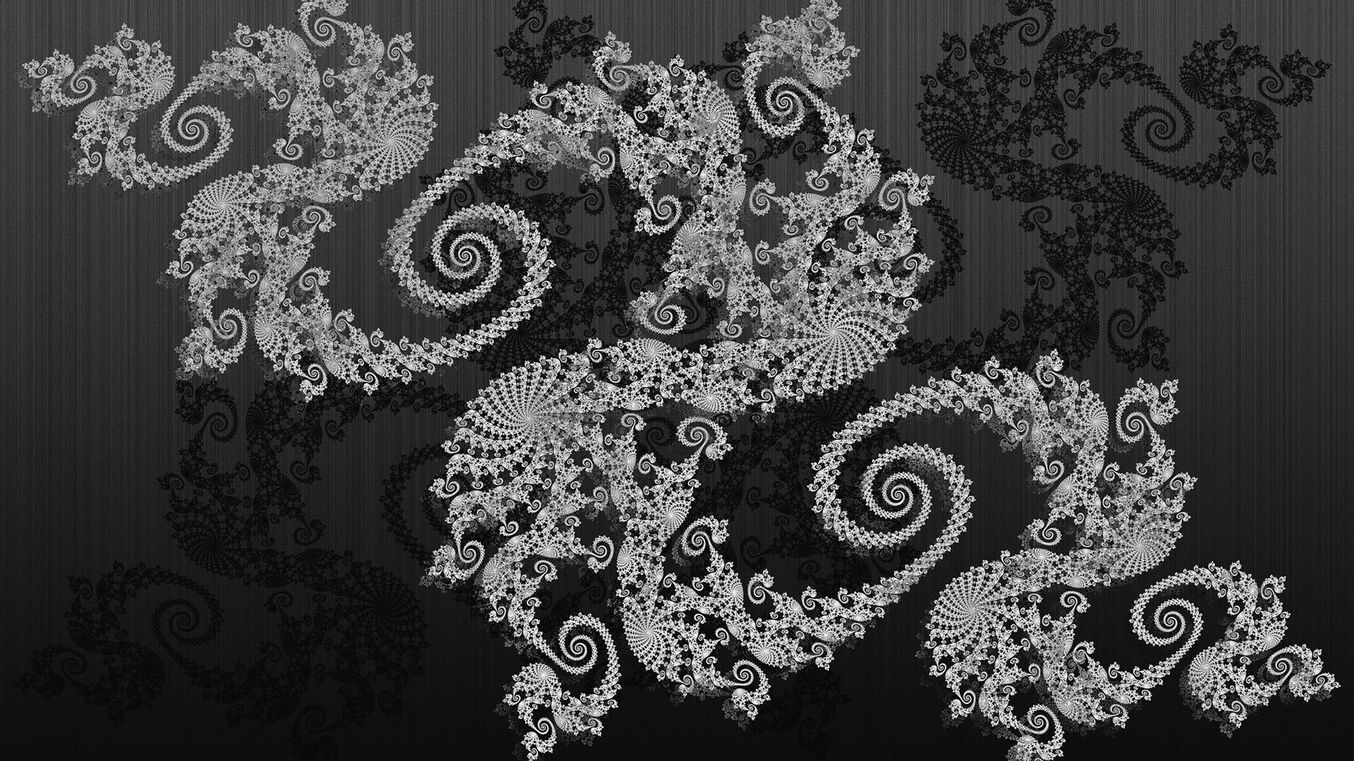 silhouette, celebration, drawing, luxury, 1080P, floral pattern, fabric, design, texture, close-up, decorative, paisley, celebration event, silver colored, HD Wallpaper